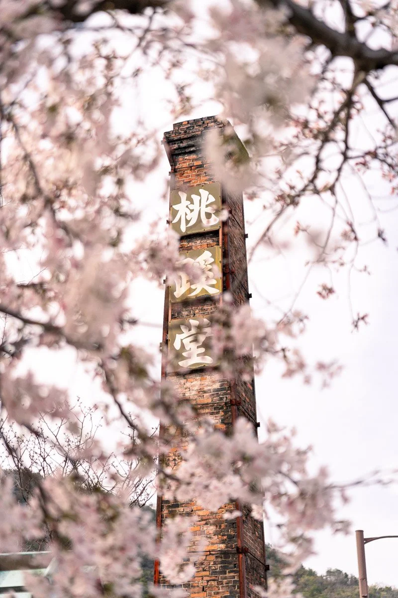 untitled-2330Low res.jpg