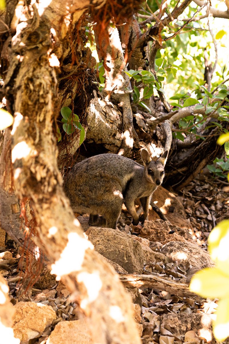Western Australia-4297Low res.jpg