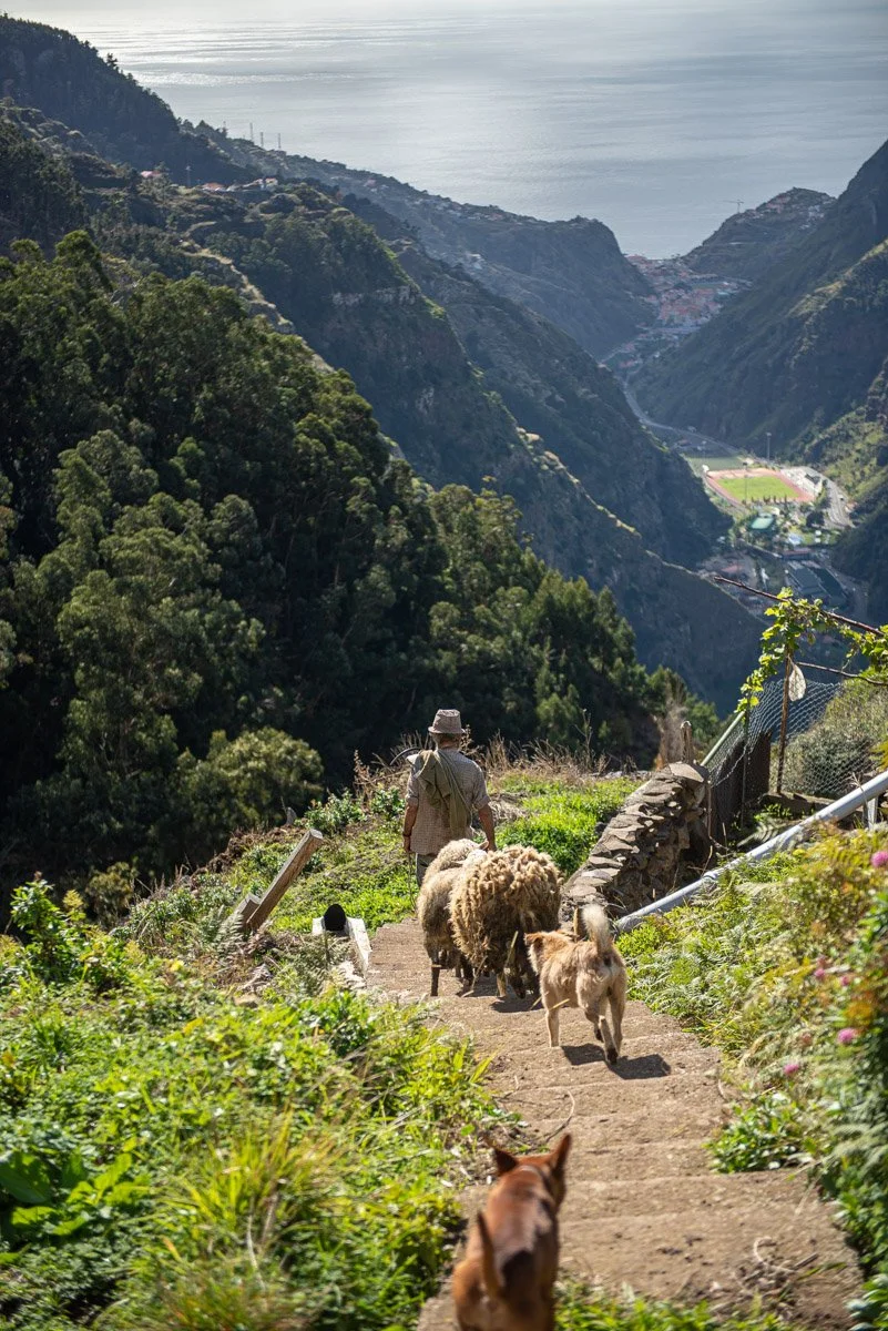Madeira JRNY - 4780 - 36.jpg
