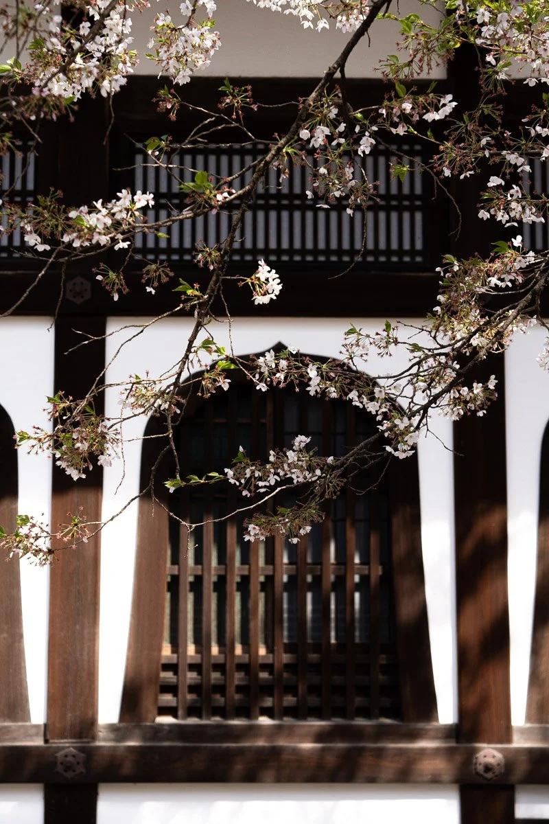 Kyoto-3018 - LowRes.jpg
