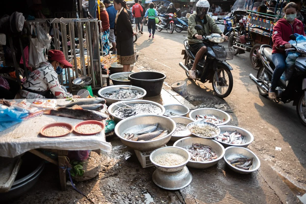 Street market with fish for sale, people shopping, and motorcycles passing by.