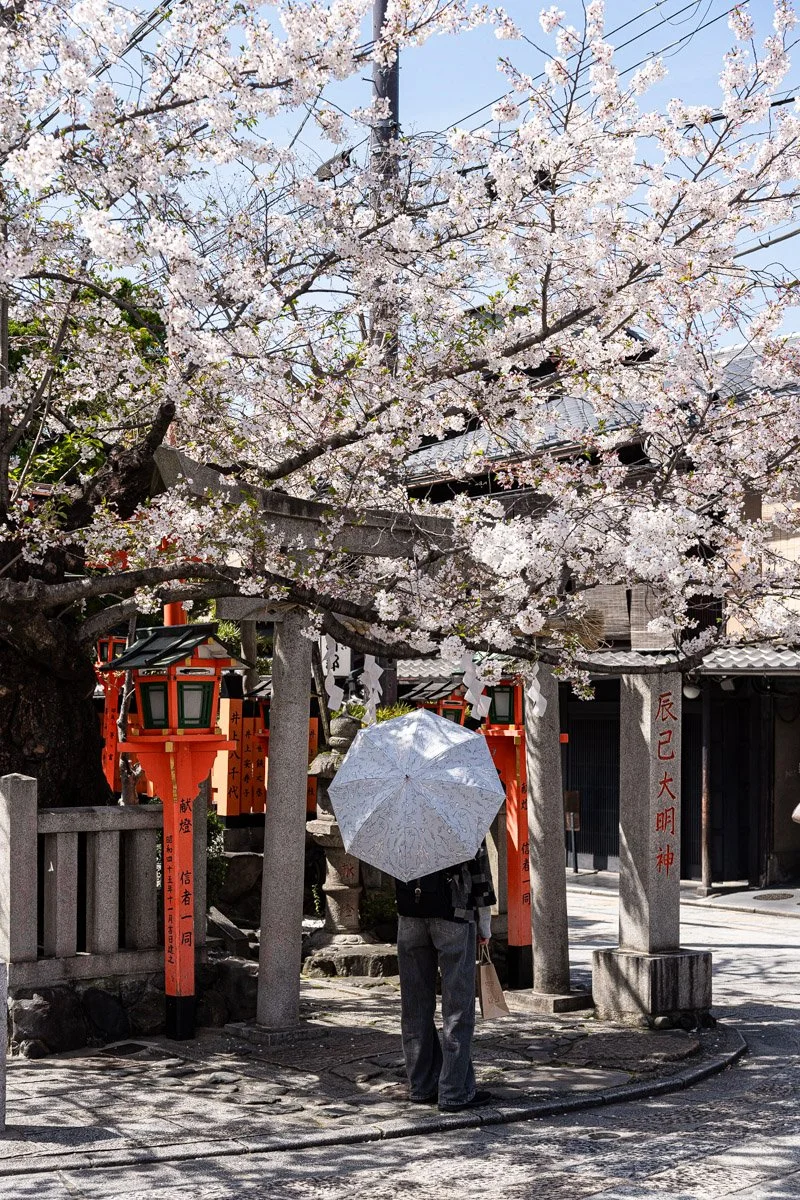 Kyoto-2945 - LowRes.jpg