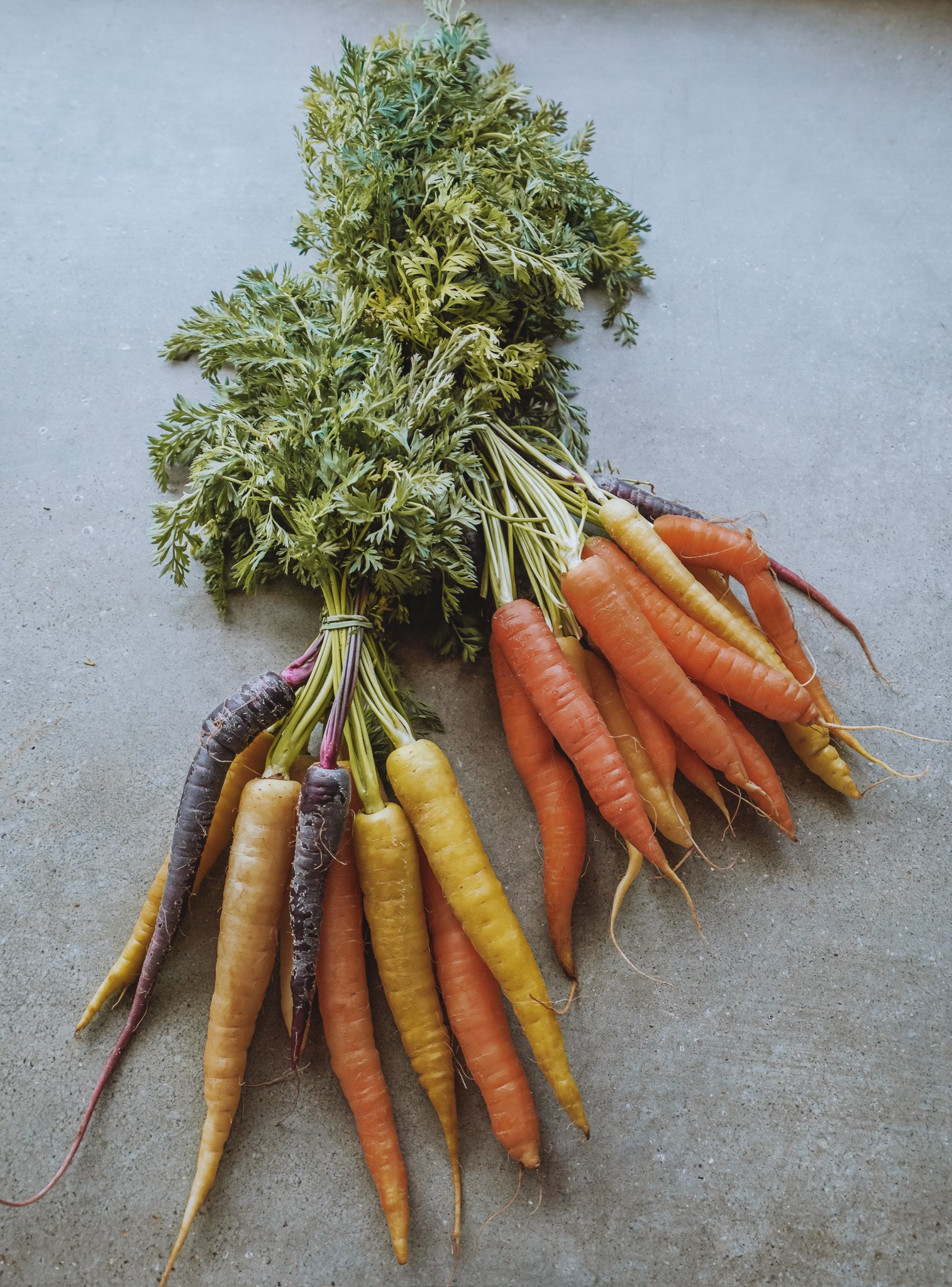 Kickstart Your Nutrition - Online