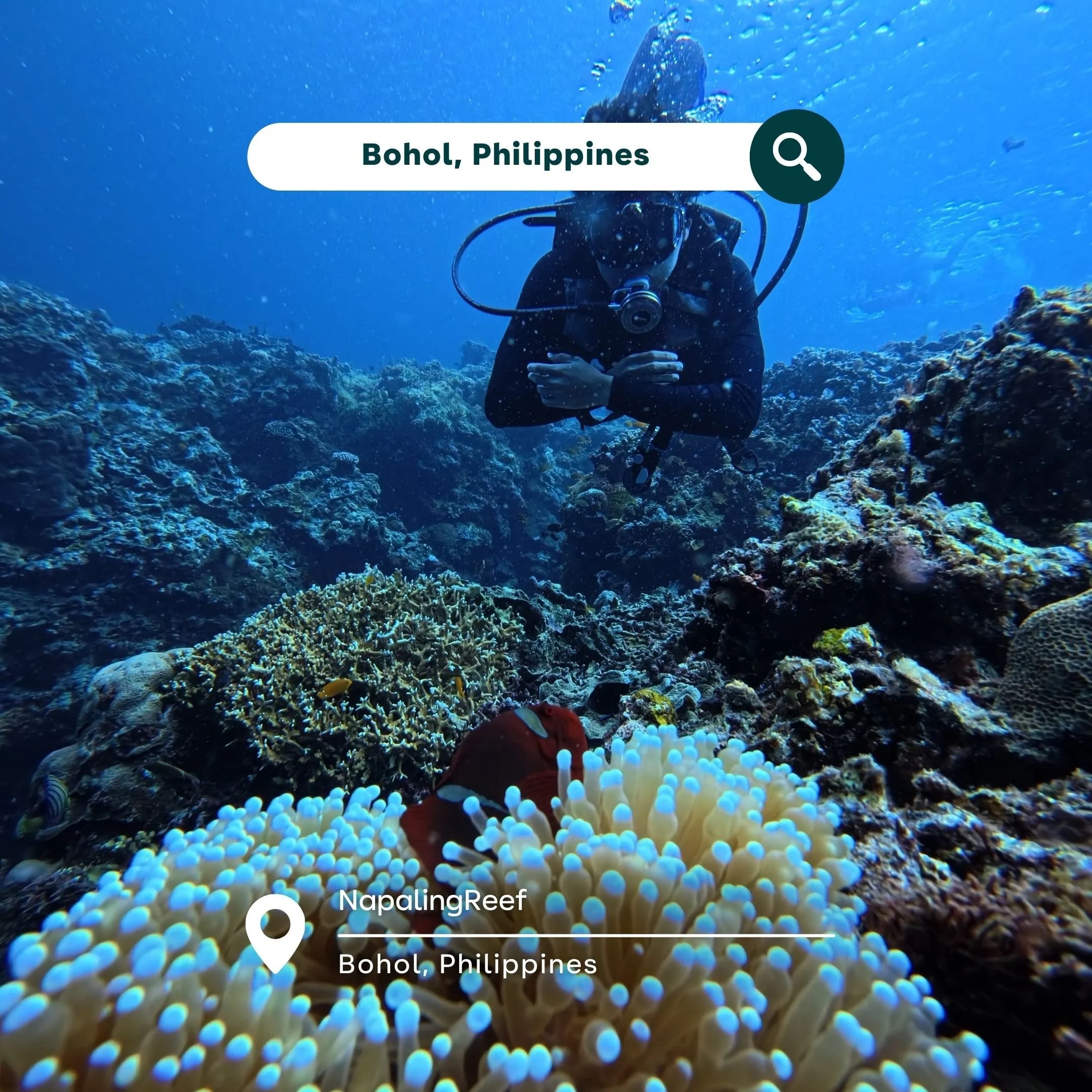 Philippines B (2).jpg