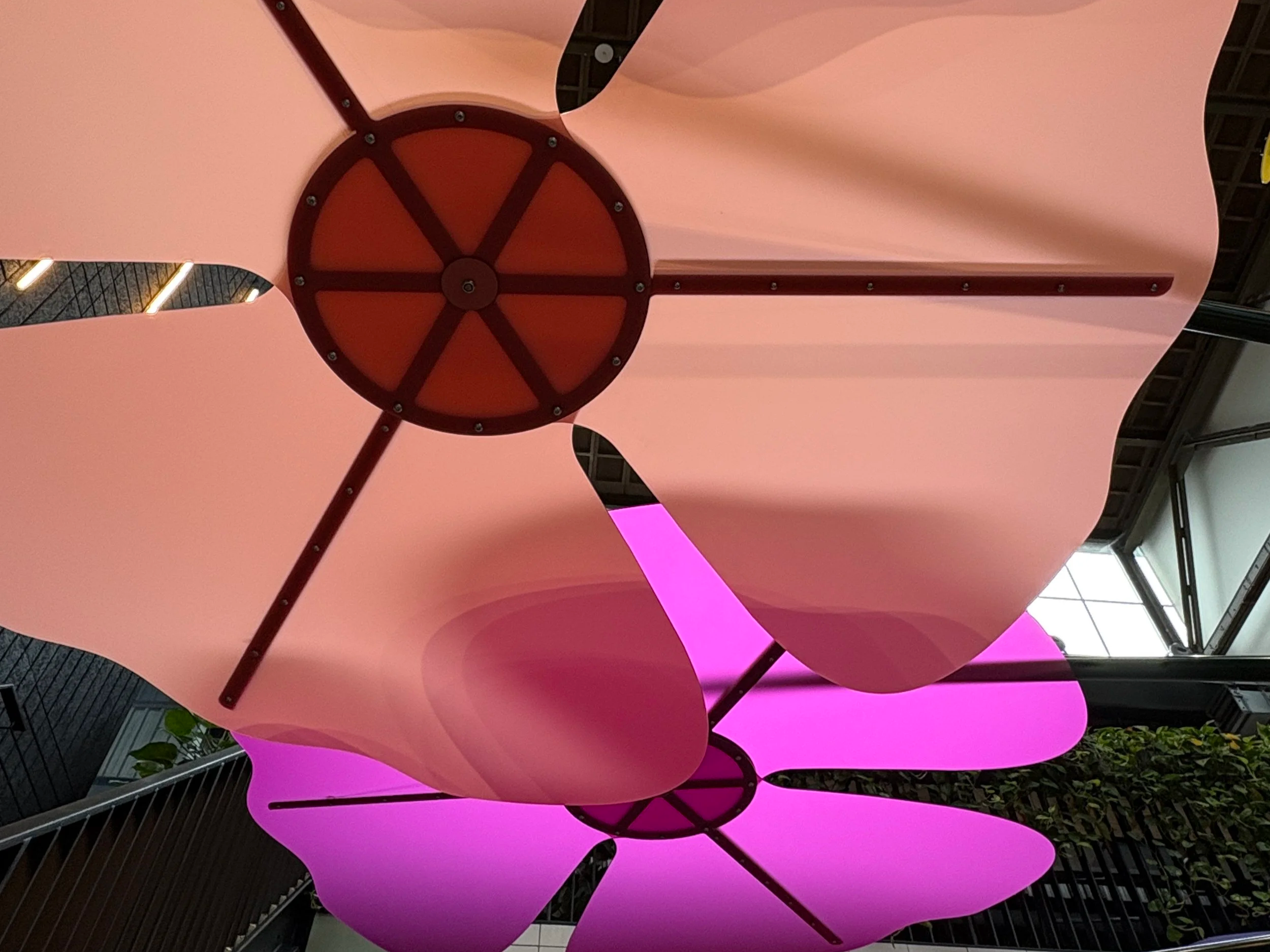 Petals
