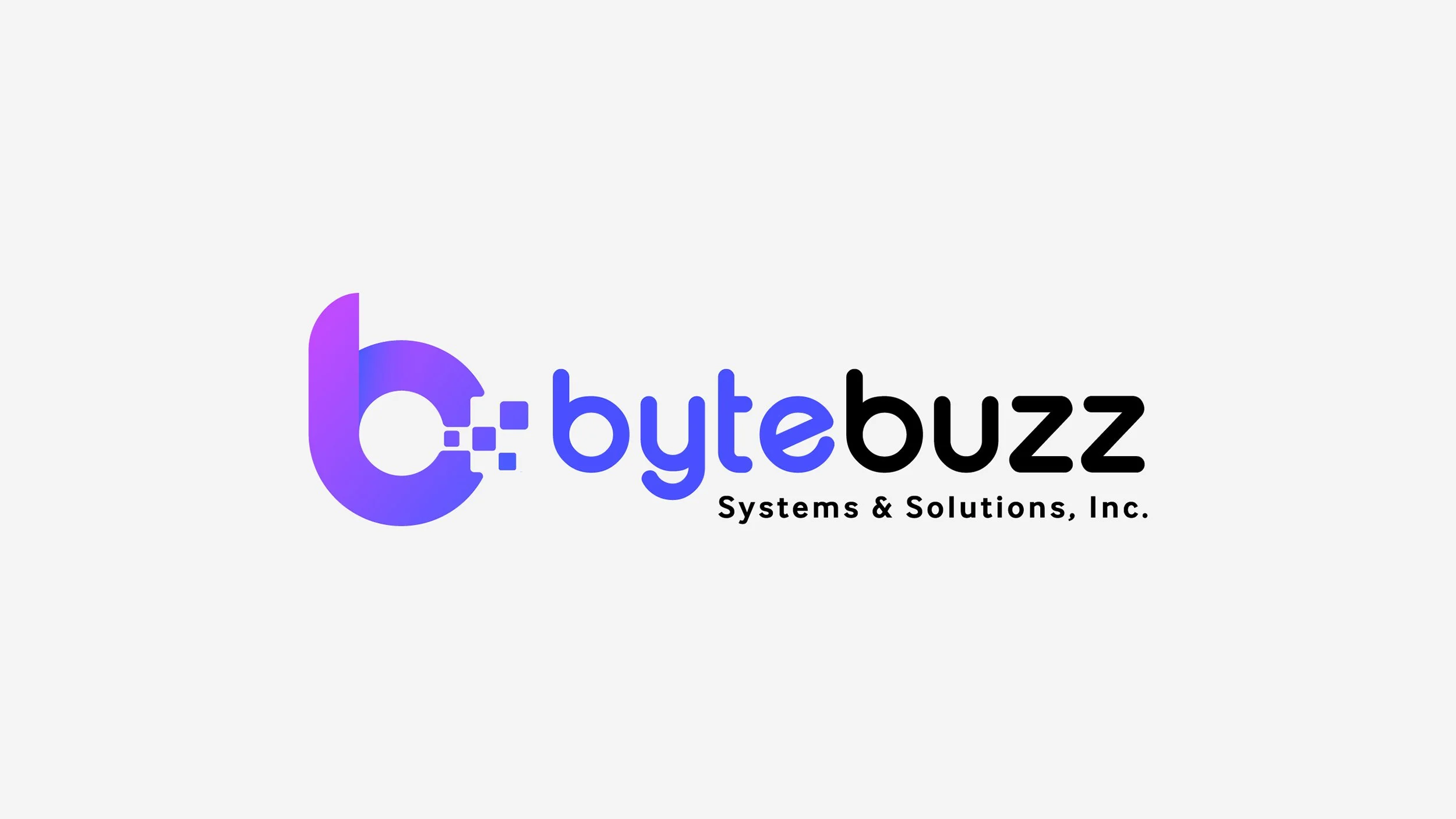 Bytebuzz logo with a stylized purple and blue 'b' and the text 'bytebuzz' in blue and black, accompanied by the tagline 'Systems & Solutions, Inc.' in black.