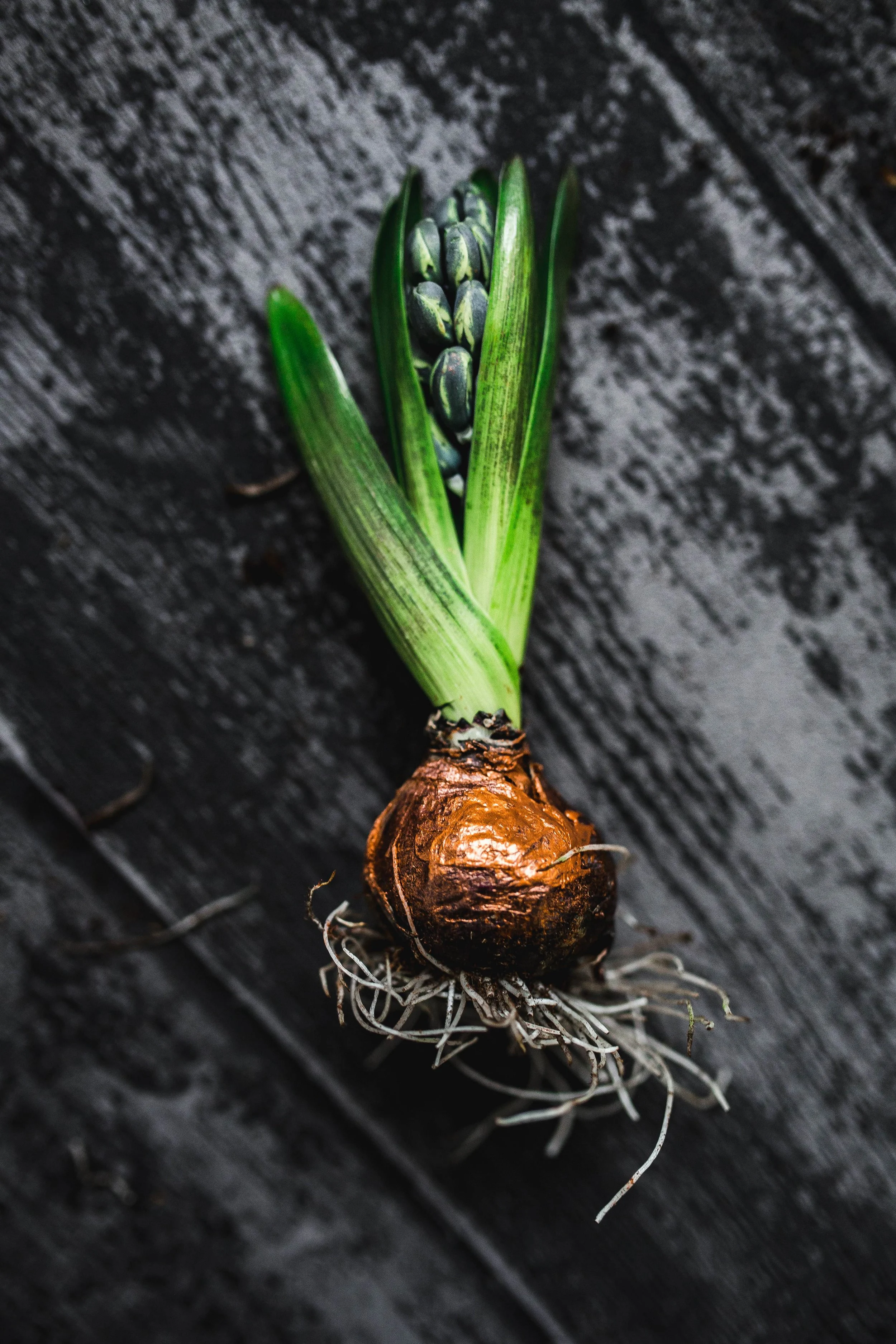 The Silent Consequences of Low Hormones — What Nobody Told Me About Menopause