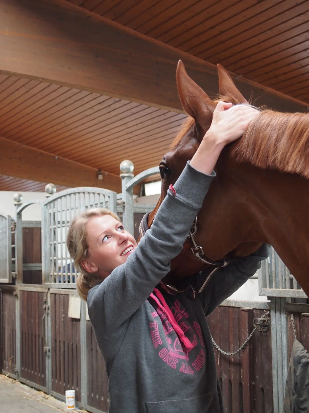 Mobile Pferdepraxis Pferde Chiropraktik am Kopf | Tierärztliche Gemeinschaftspraxis Dr. Dörte Wiedenhöft und Carlotta Kertscher