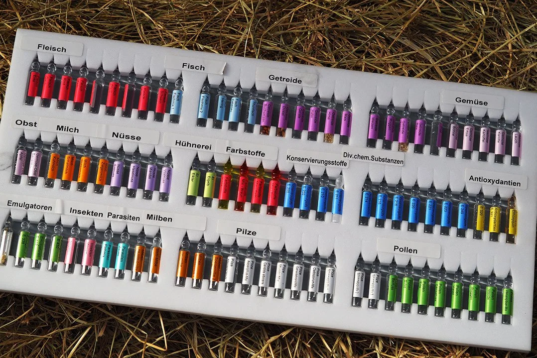 Verschiedene kleine Fläschchen mit farbigen Substanzen, die nach Kategorien sortiert sind, wie Fleisch, Fisch, Getreide, Gemüse, Obst, Milch, Nüsse, Hühnererei, Farbstoffe, Konservierungsstoffe, chemische Substanzen, Antioxidantien, Emulgatoren, Insekten, Parasiten, Milben, Pilze, Pollen.
