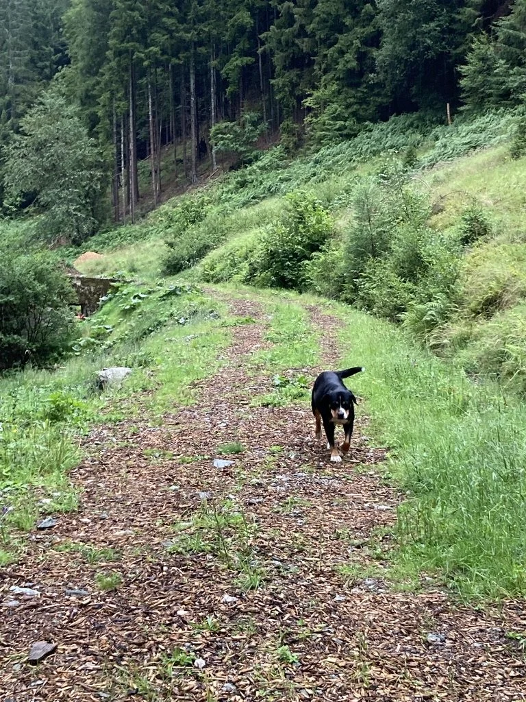 After floods recovery