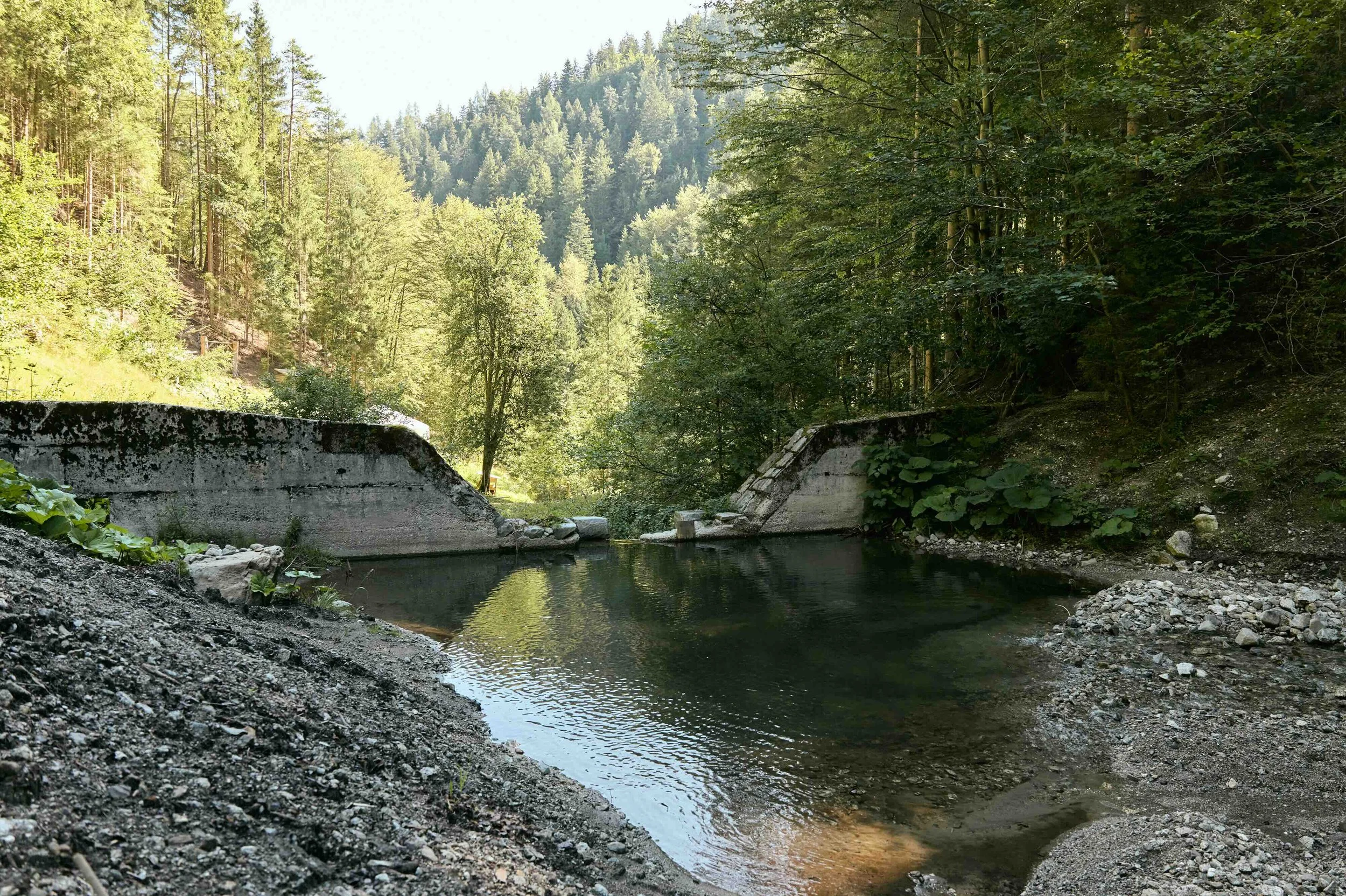 Above the GK2 barrier Goltnik creek by Jan Pirnat.jpeg
