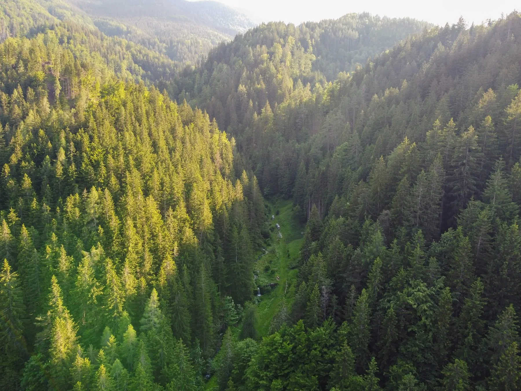 Our valley - Mirn Grabn