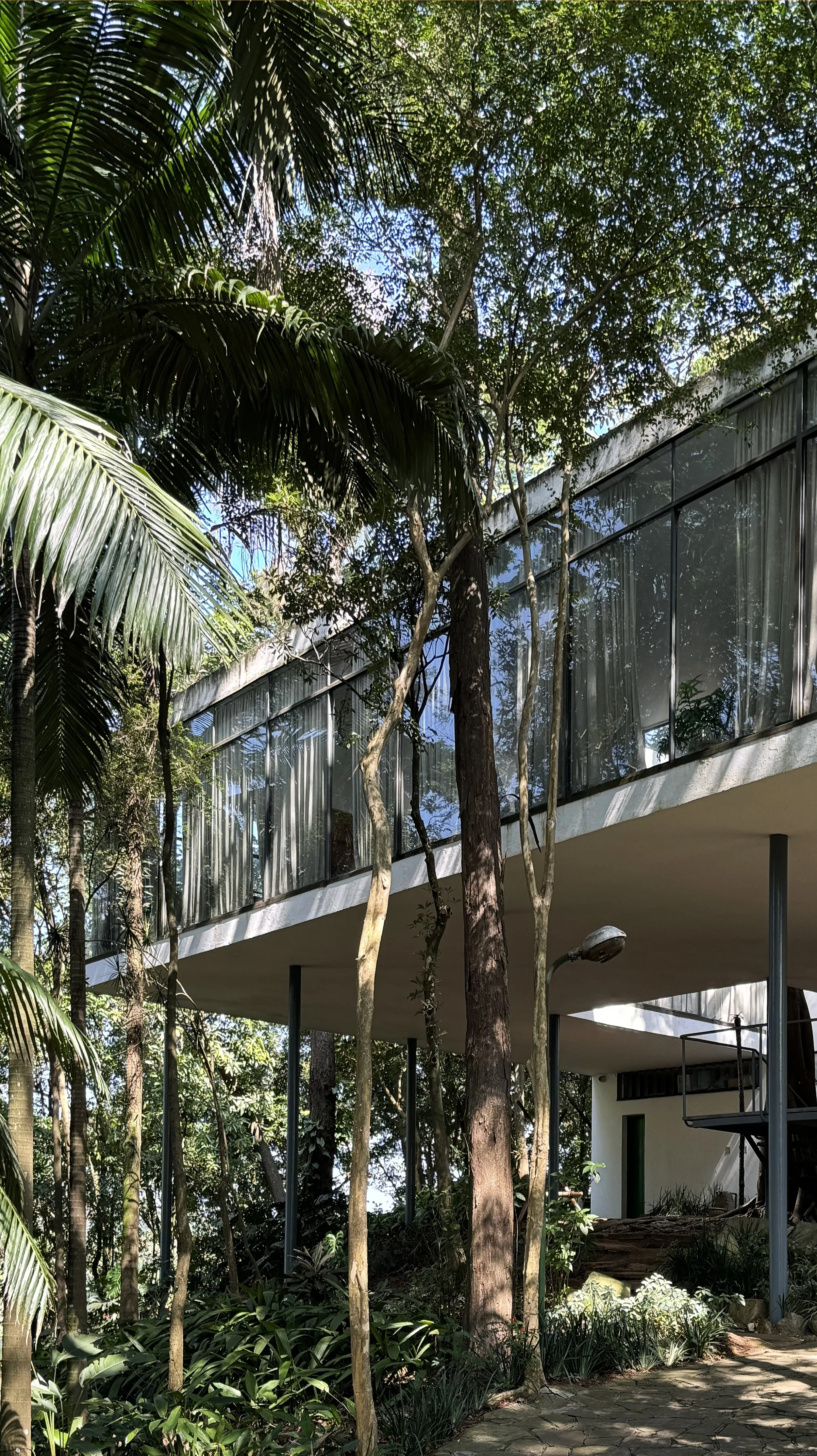 Modern house with large glass windows elevated among tall trees and lush greenery, with a pathway leading to it.