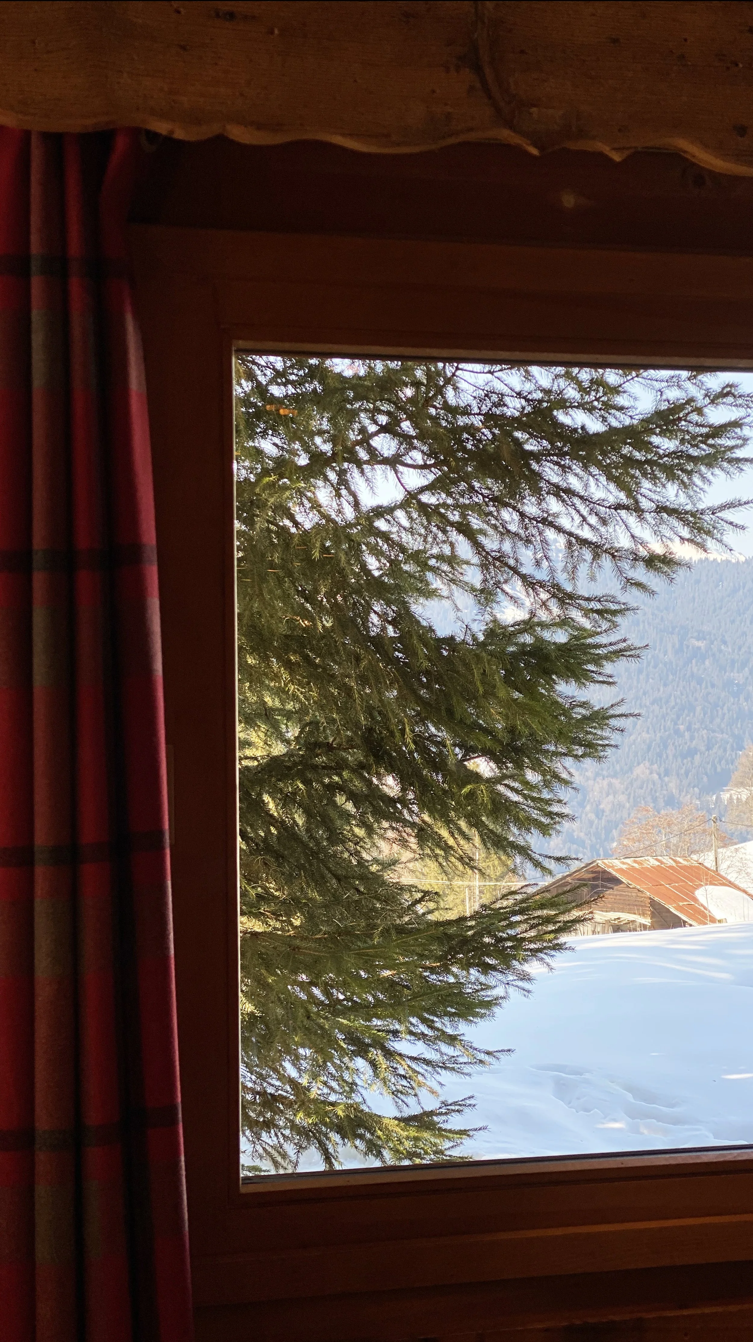 View of an outdoor scene through a window, showing snow-covered ground, a large evergreen tree, a distant mountain, a house with a rust-colored roof, and a partly cloudy sky.