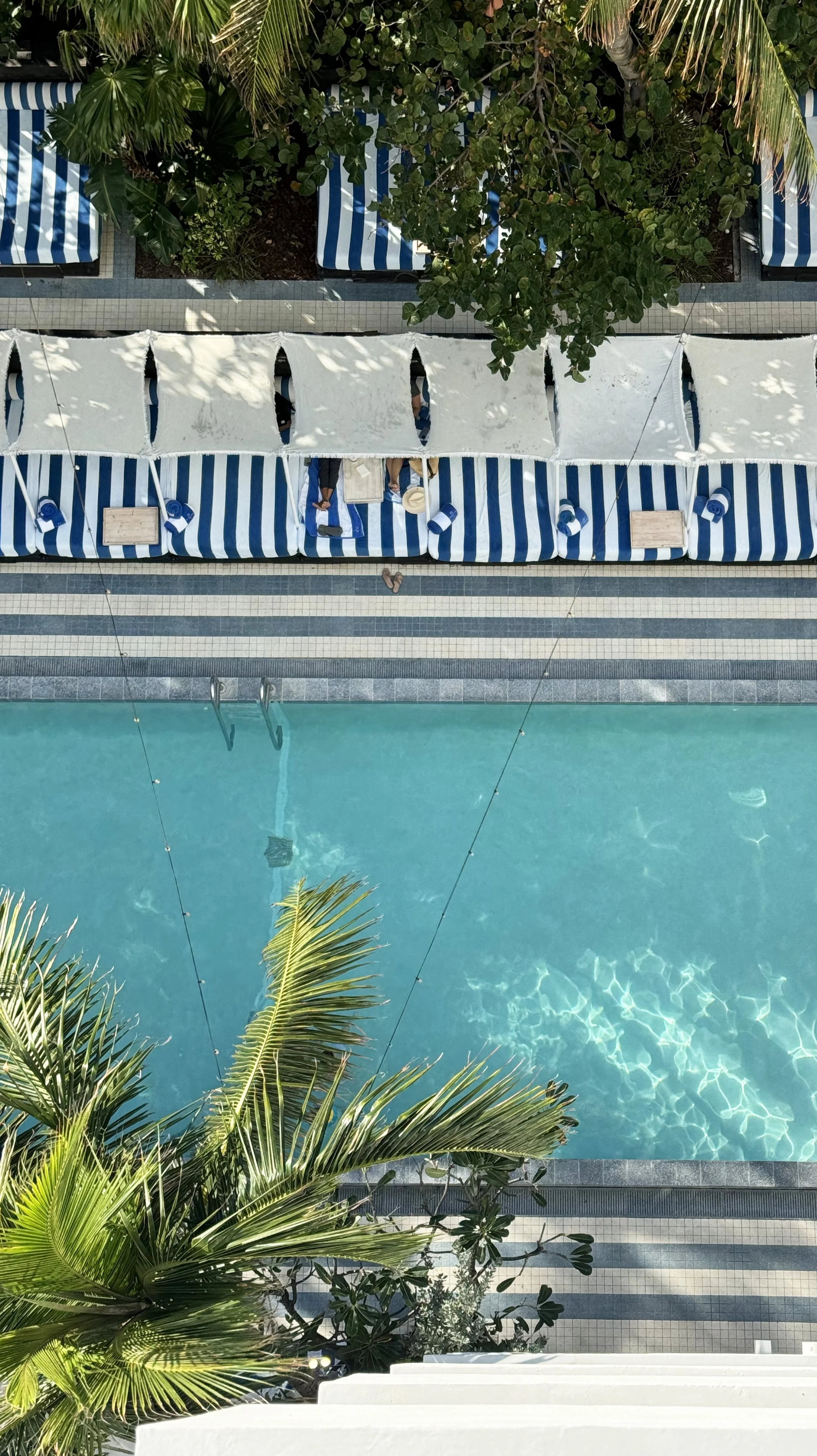 Top-down view of a swimming pool with clear blue water, surrounded by striped blue and white pool loungers, umbrellas, and lush green tropical plants.