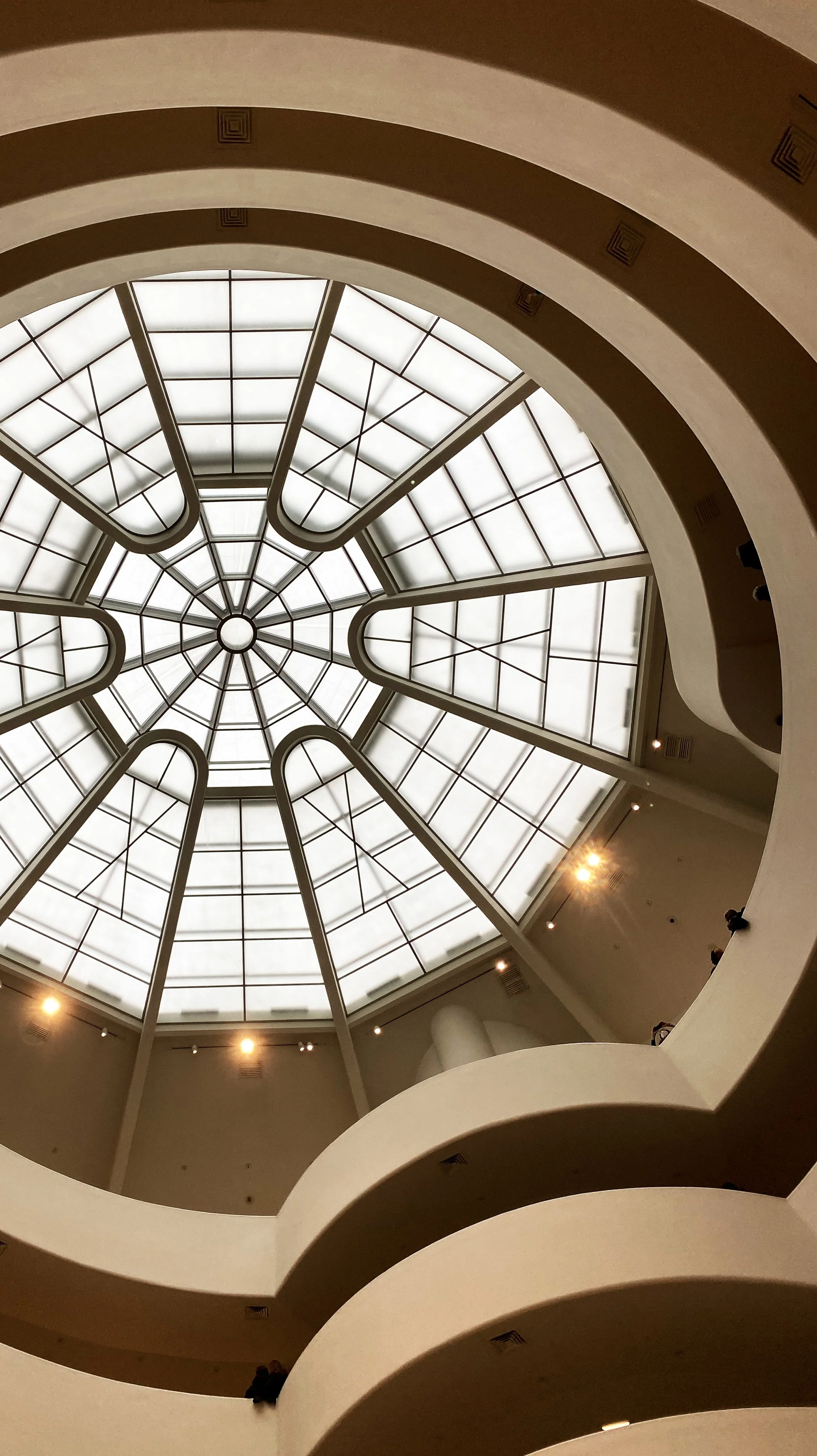 A view from the bottom looking up at a glass domed ceiling with a spiral staircase around it.