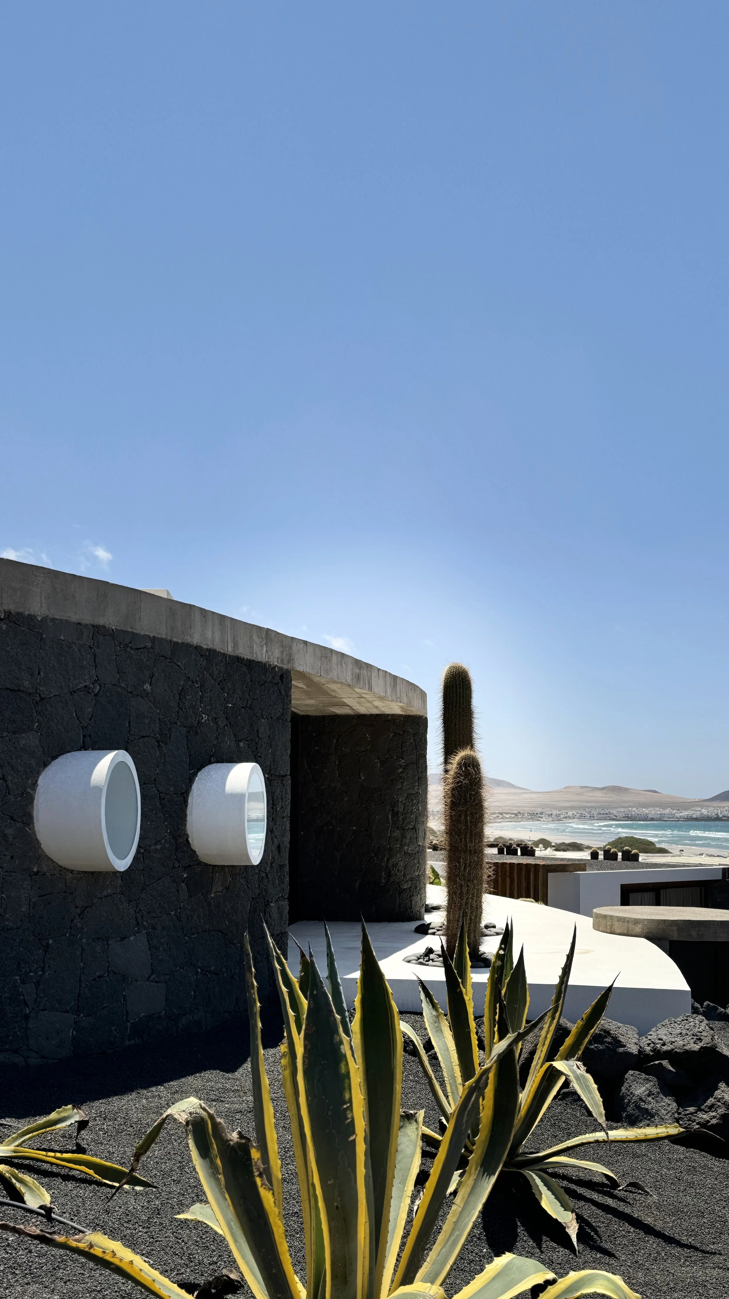 A modern outdoor scene with a black stone building, two white wall-mounted planters, a tall cactus, and a yellow-green agave plant, with a sandy beach and ocean in the background under a clear blue sky.