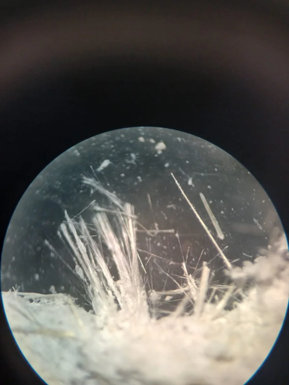 Bulk analysis at Defender Court Asbestos fibres examined during bulk sample analysis at Sunderland Head Office
