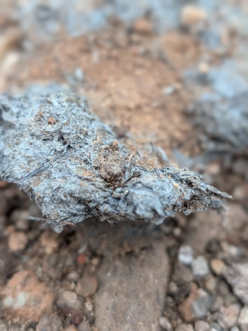 Debris spray coating to soils 