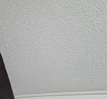 Pre-refurbishment evidence for local projects Textured ceiling considered during a Sunderland refurbishment asbestos survey
