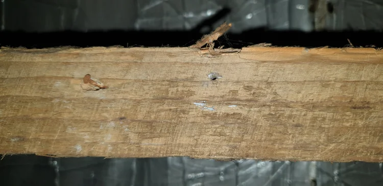 Asbestos insulating board debris identified within building construction