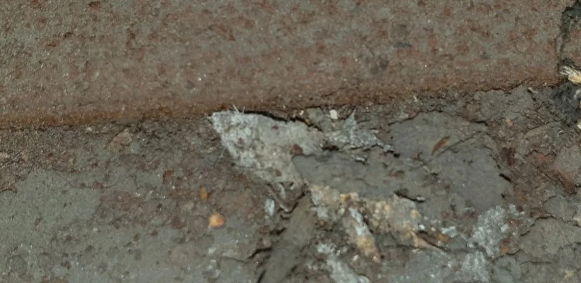 Asbestos fibres in debris within property
