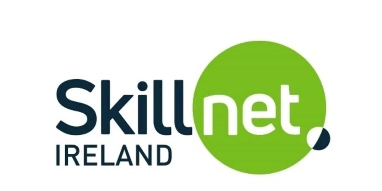 Skillnet Ireland logo featuring the words 'Skillnet Ireland' with 'Skill' in dark blue and 'net' in white inside a green circle.