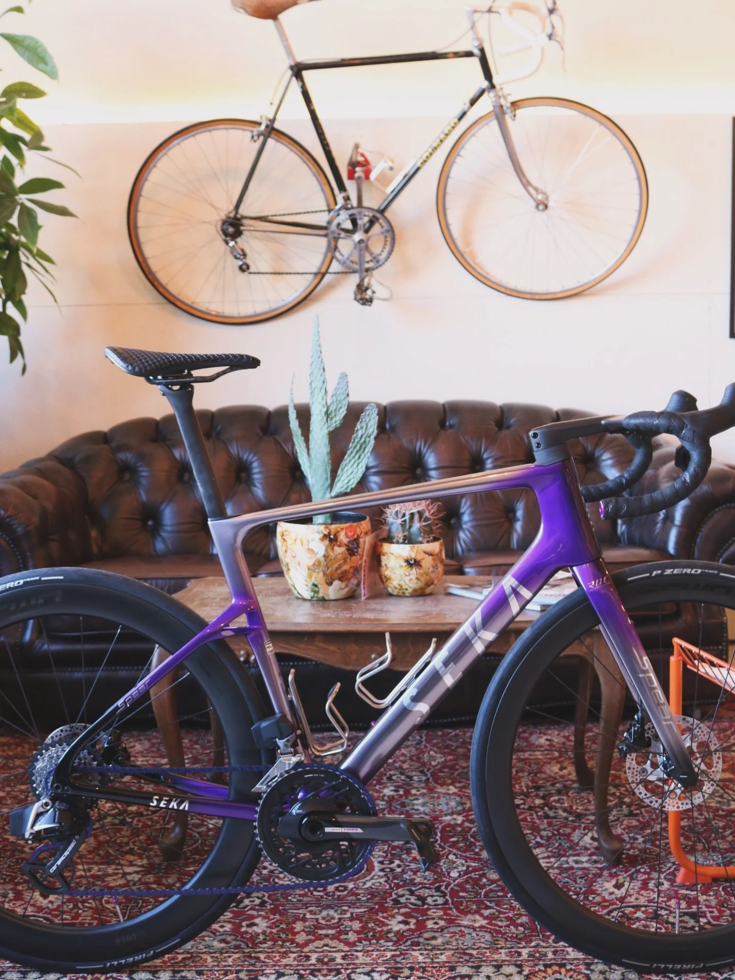 Nieuw in de spotlight ✨

Maak kennis met deze strakke Seka Spear RDC 🚴&zwj;♂️
Een echte blikvanger, opgebouwd met alleen maar topcomponenten:

⚙️ SRAM Force 2x12 groepset
🪶 Selle Italia 3D Carbon zadel
🔥 FFWD Ryott wielen &ndash; 44 voor / 55 acht
