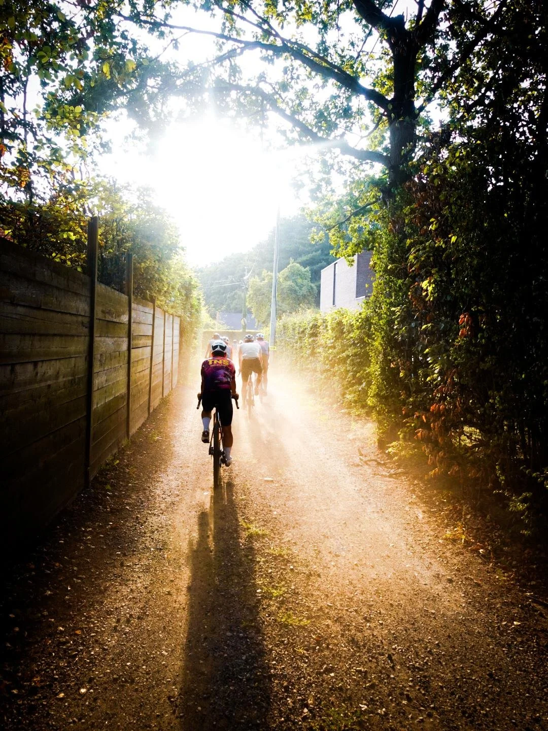 Vijf fietsers rijden op een stoffige, schemerige pad omgeven door groene planten, met zonlicht dat door de bomen schijnt.