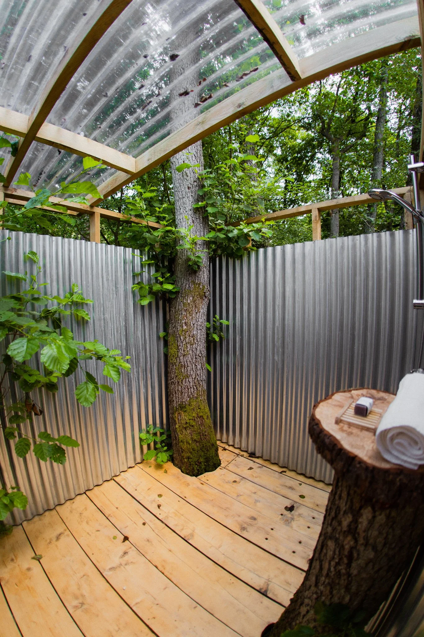 Outdoor shower at Brook with wood floor, corrugated metal walls, and a transparent roof supported by wooden beams, featuring a built-in tree with moss at its base, surrounded by green foliage.