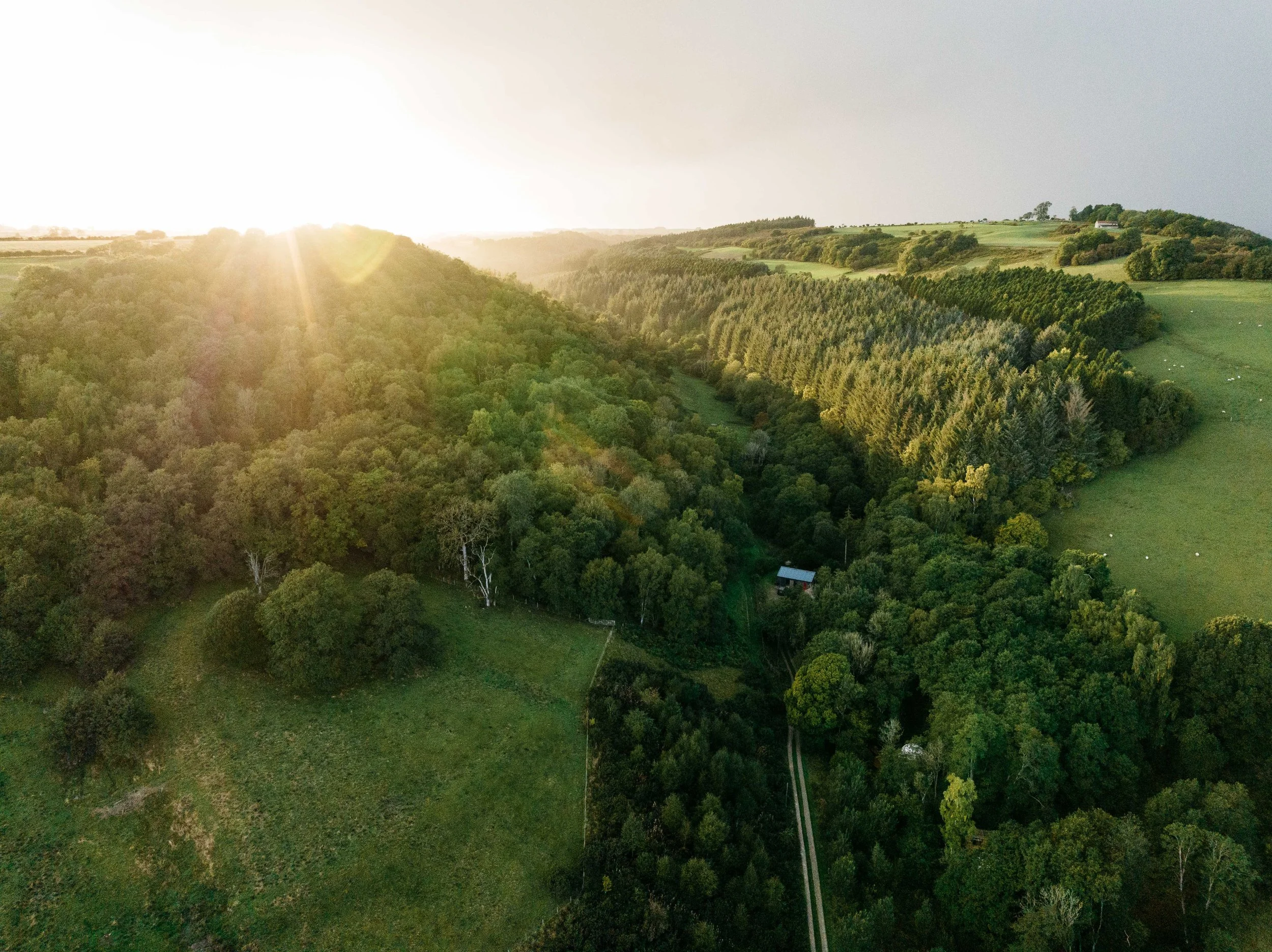 Aerial view of our hidden valley, showing lush green landscape with forests, fields, and a small building, bathed in sunlight from the setting sun.