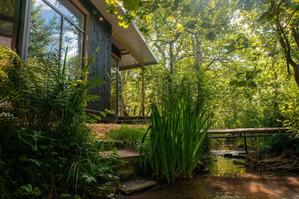 hand built cabin right by the stream
