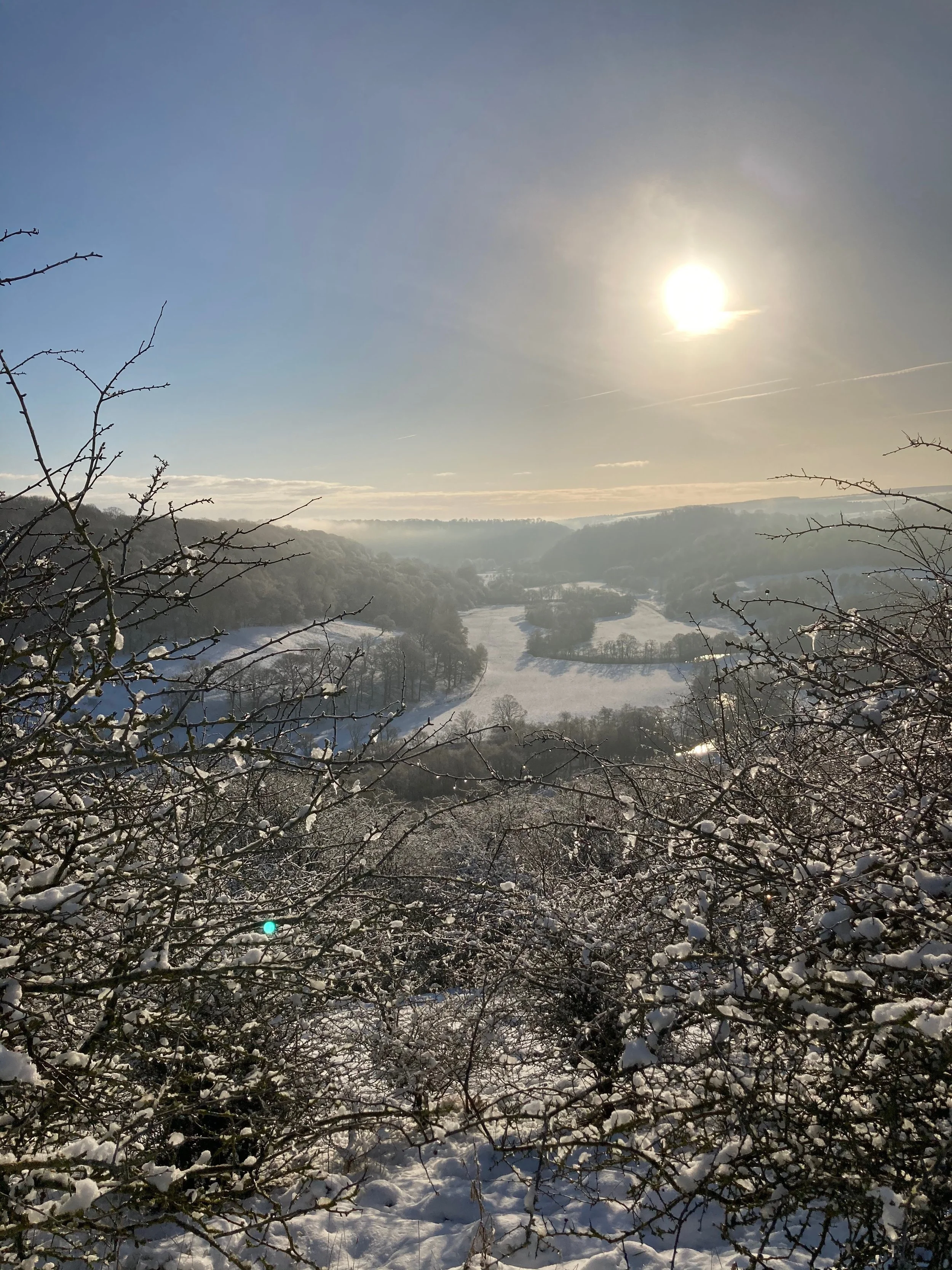 Snow-covered trees and a valley with fields and forests, under a clear sky with the sun shining