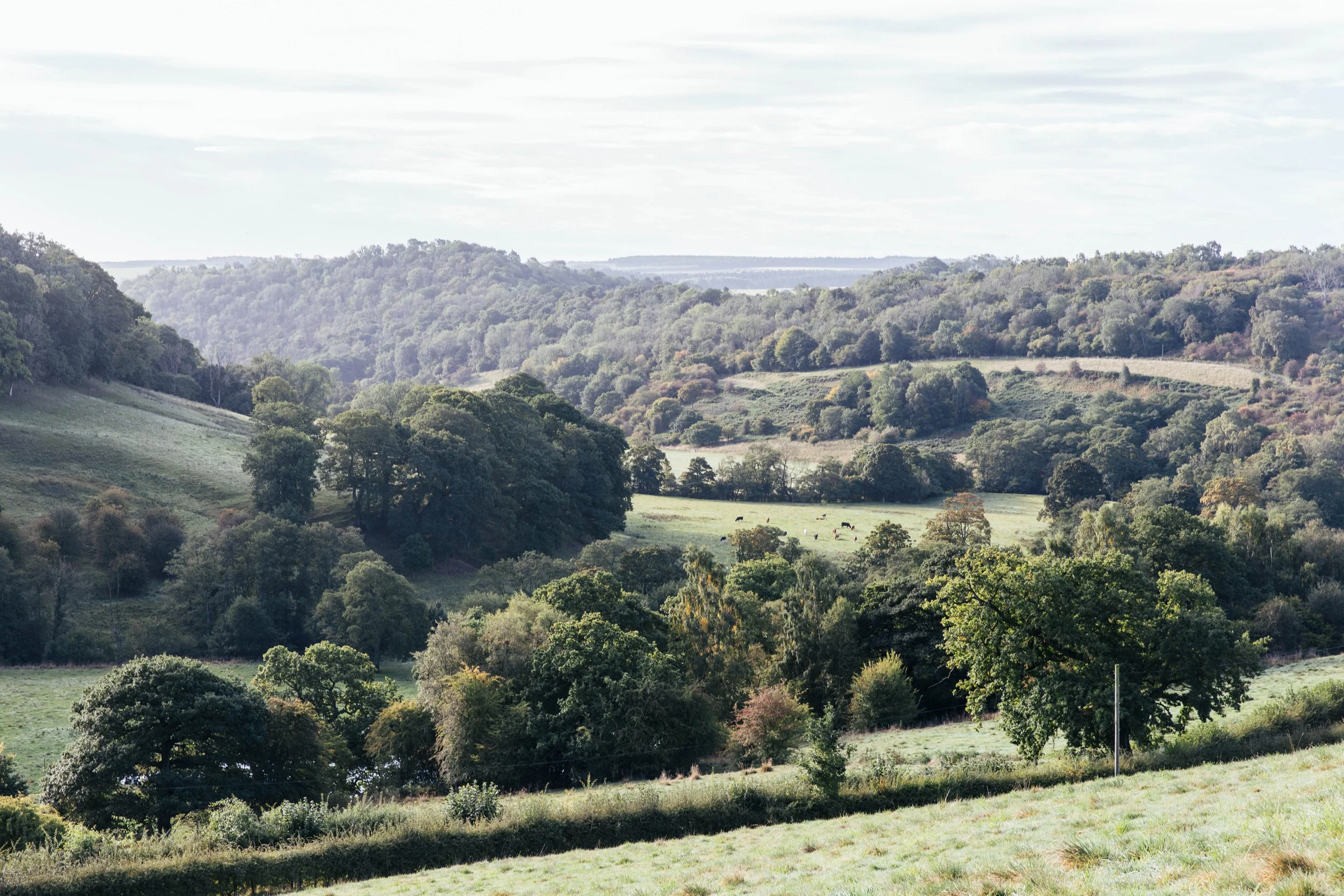 Located in an absolutely stunning part of North Yorkshire 
