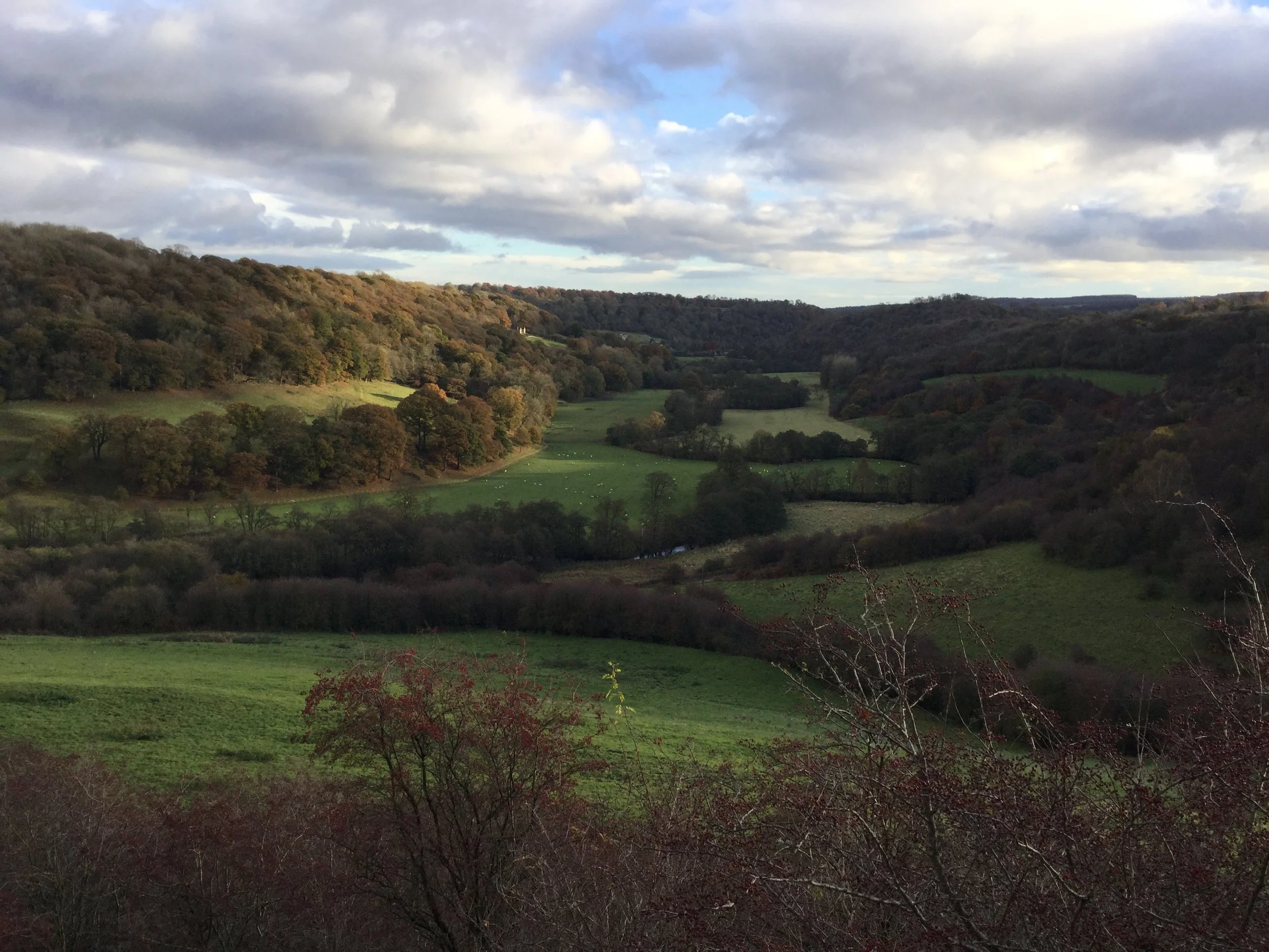 A scenic view of rolling green hills and valleys with trees, some with fall foliage, under a partly cloudy sky.