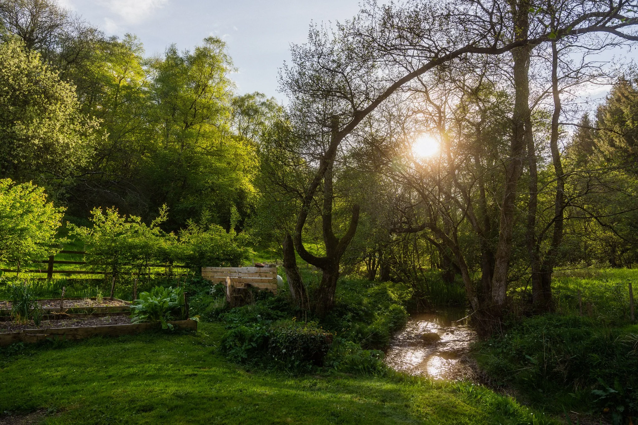 A peaceful garden scene during sunset with lush green trees, a small flowing stream, and vegetable beds.