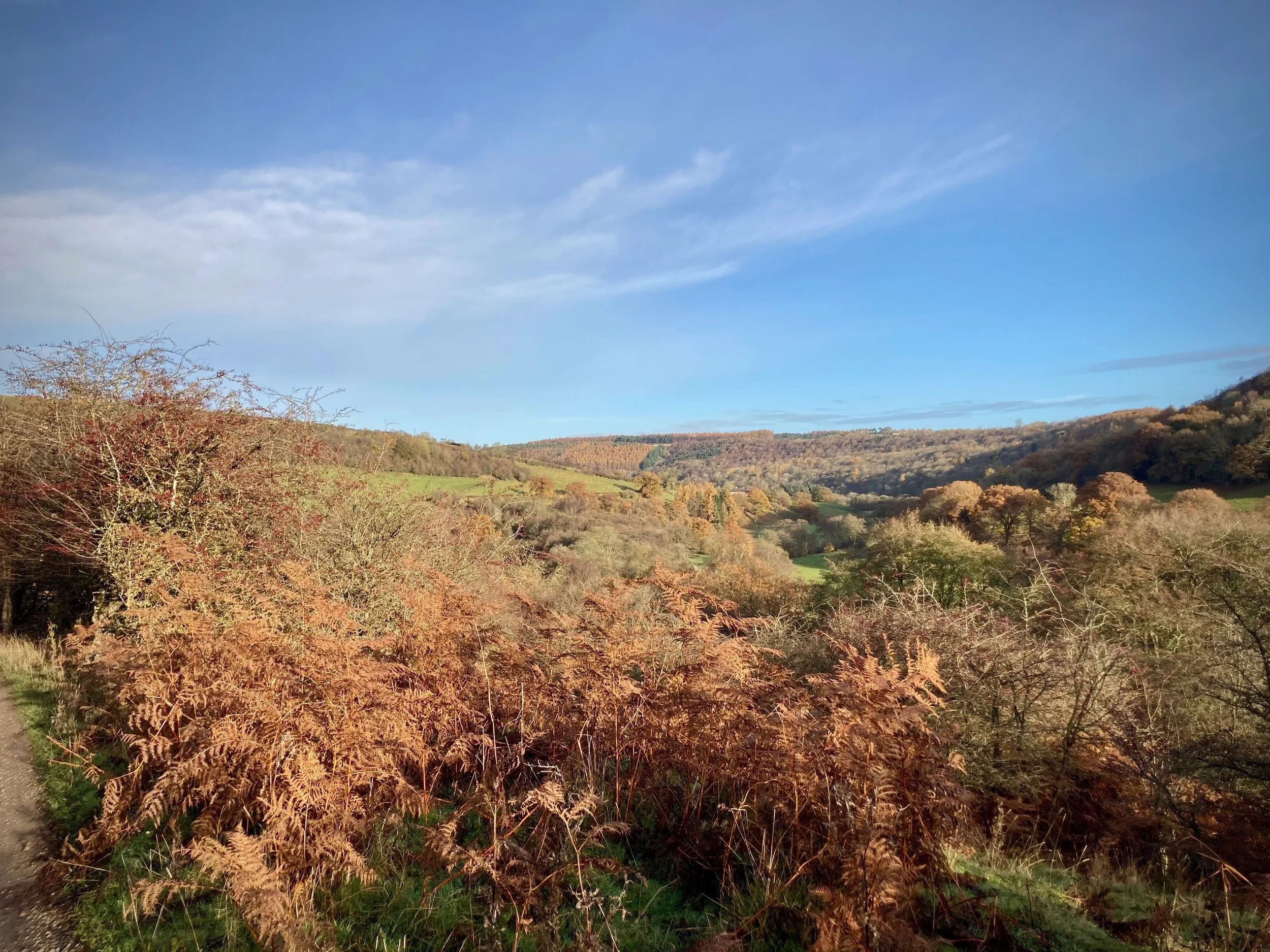 A scenic landscape view of rolling hills and deciduous trees with fall foliage under a partly cloudy sky.