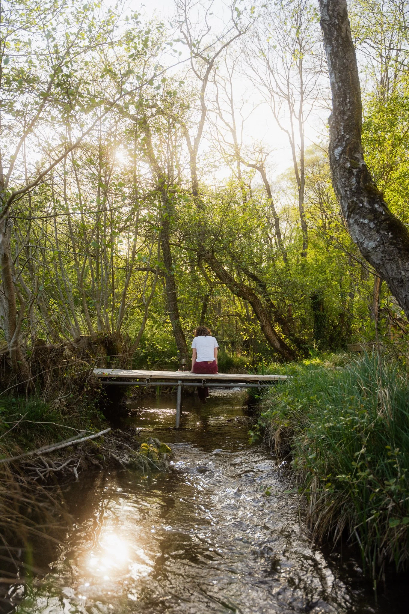 Never far from the Stream at The Lazy T - Yorkshire 