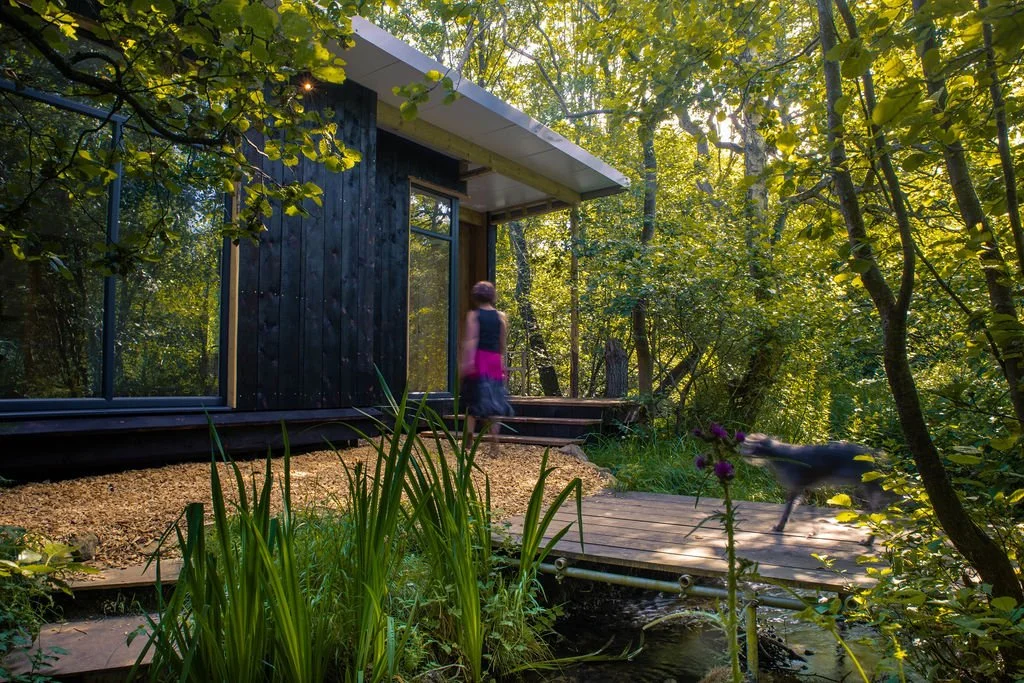 A woman in a pink skirt and black top walking on a wooden deck in a lush forest, with a black and white dog running nearby and green trees surrounding the scene.