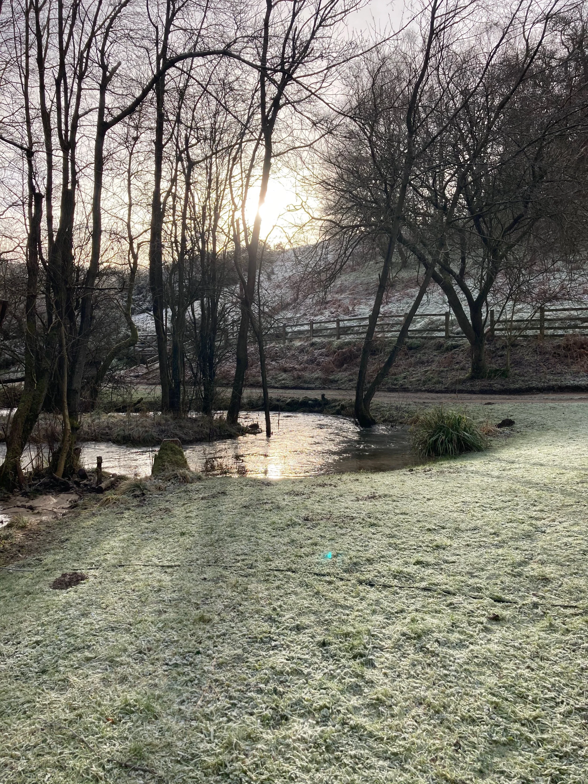 Frosty grass near a small river with leafless trees and a sunlight sky in the background.