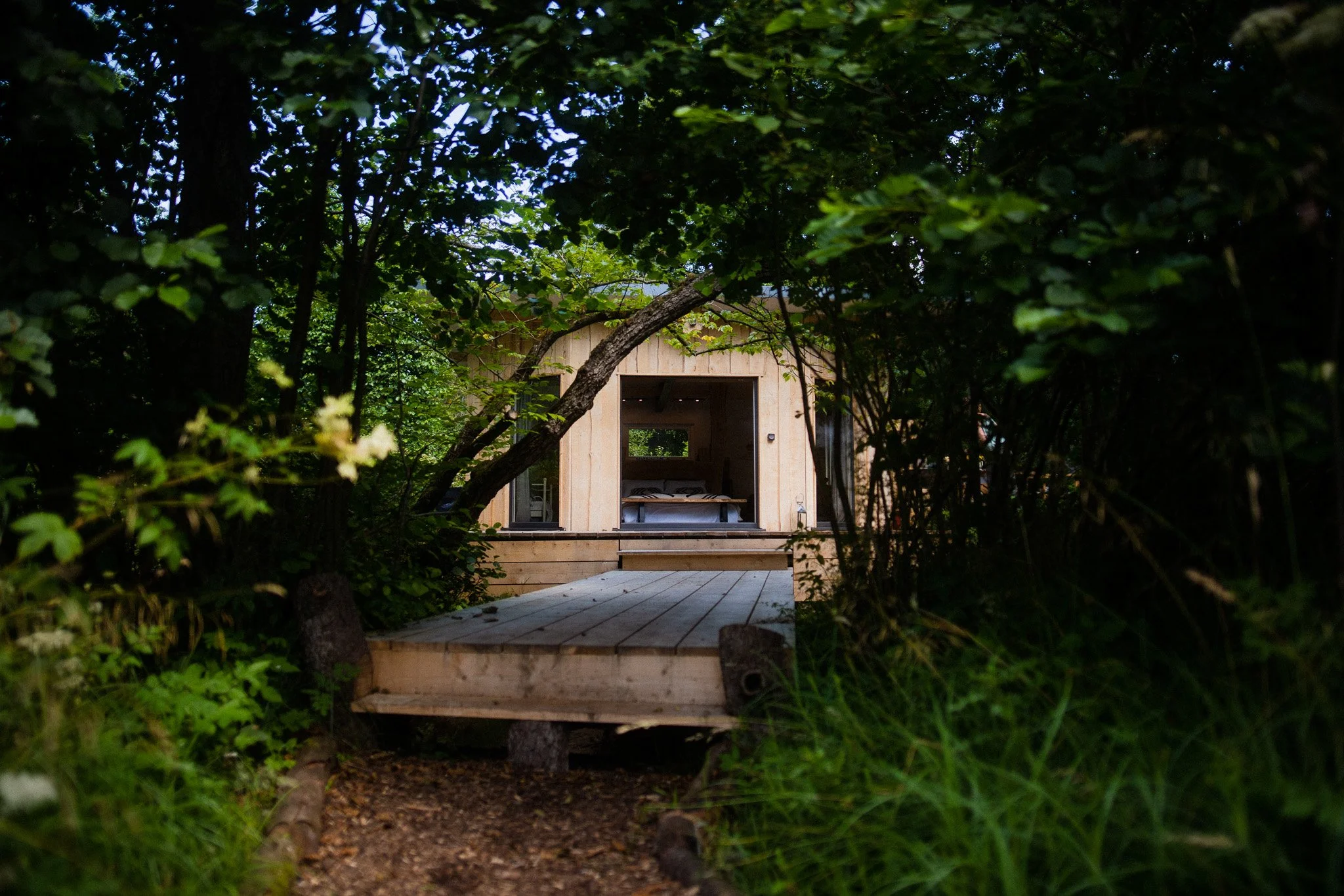 Small wooden cabin surrounded by dense green forest, with an open doorway revealing a bed inside, and a wooden pathway leading up to it.