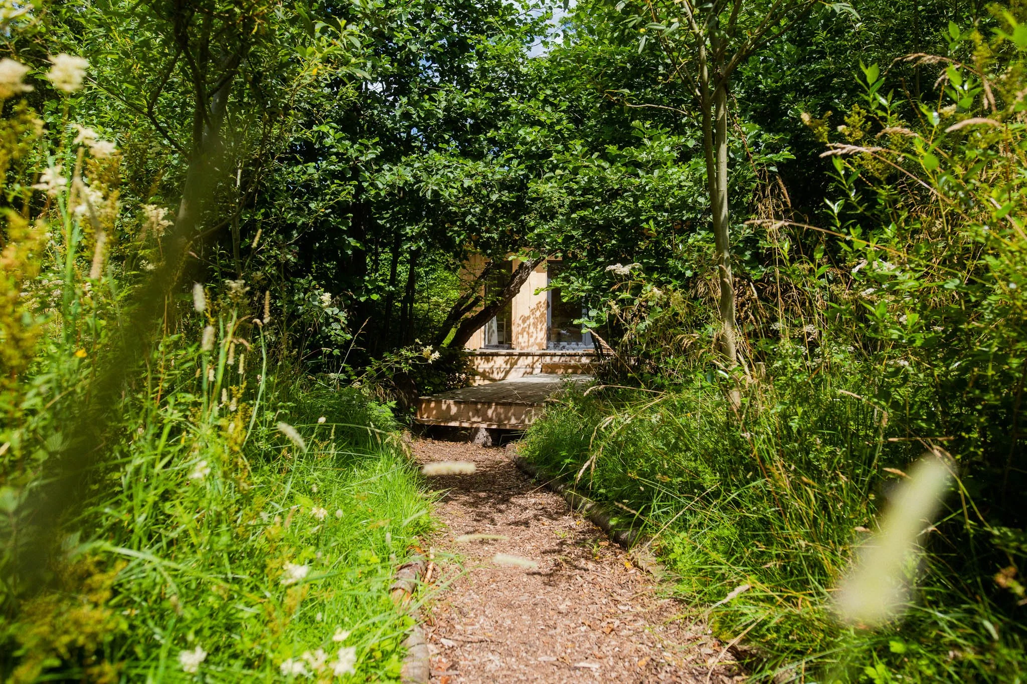 A narrow dirt path leading to a small house or shed, surrounded by dense green foliage, trees, and tall grasses on a sunny day.