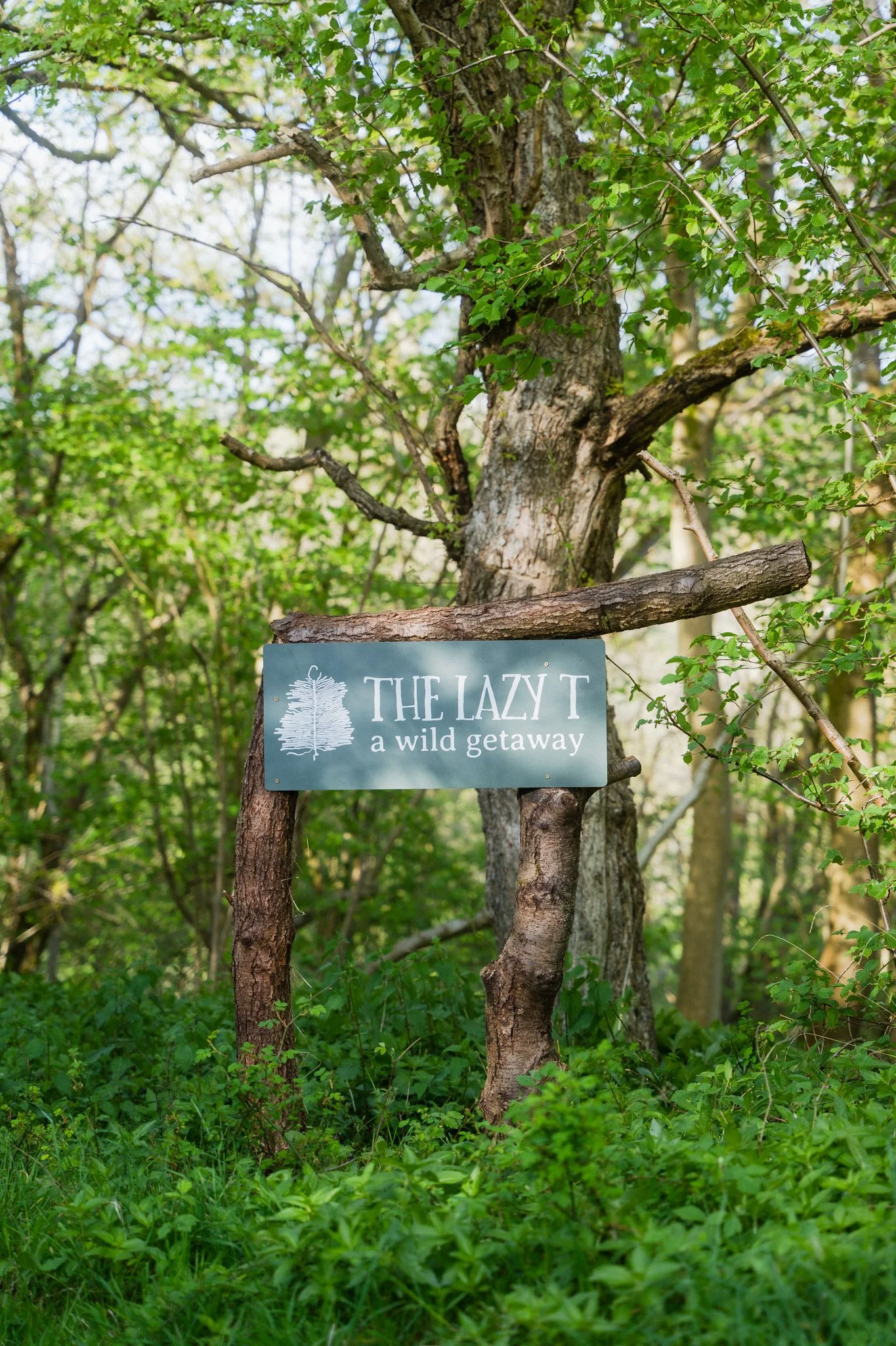 Look out for the sign at the and of the road