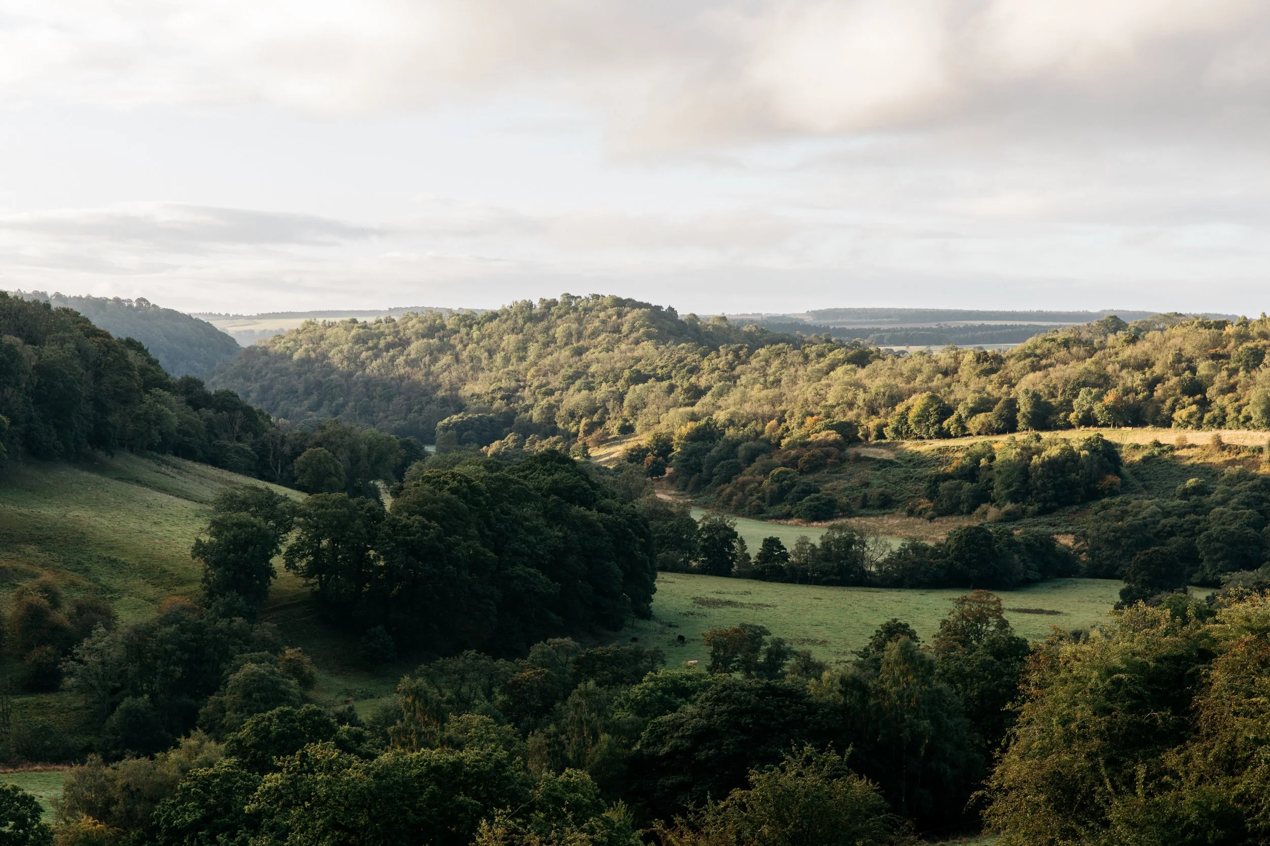 In a hidden valley in North York Moors National Park