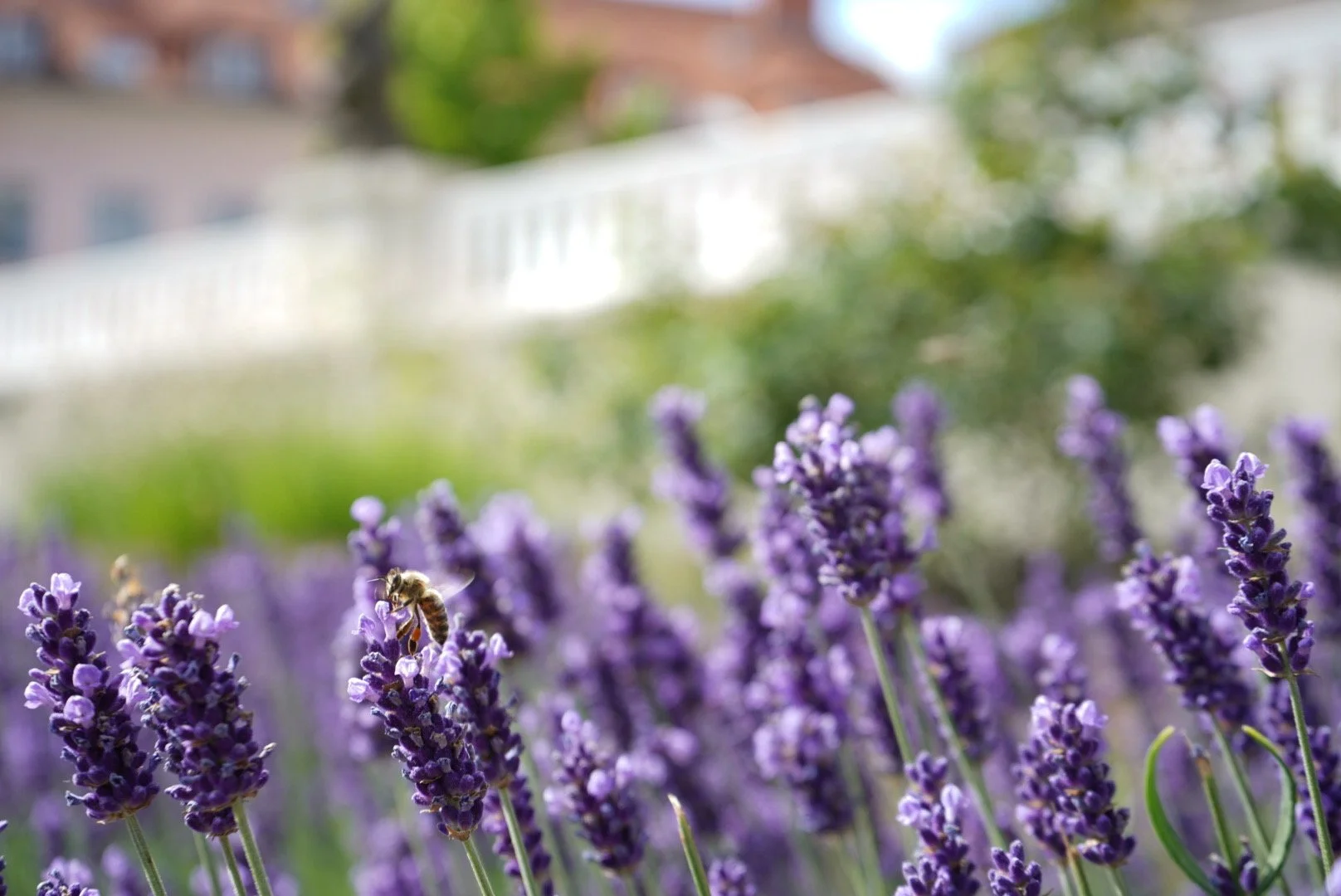 Unterwegs in der Natur und Tierwelt