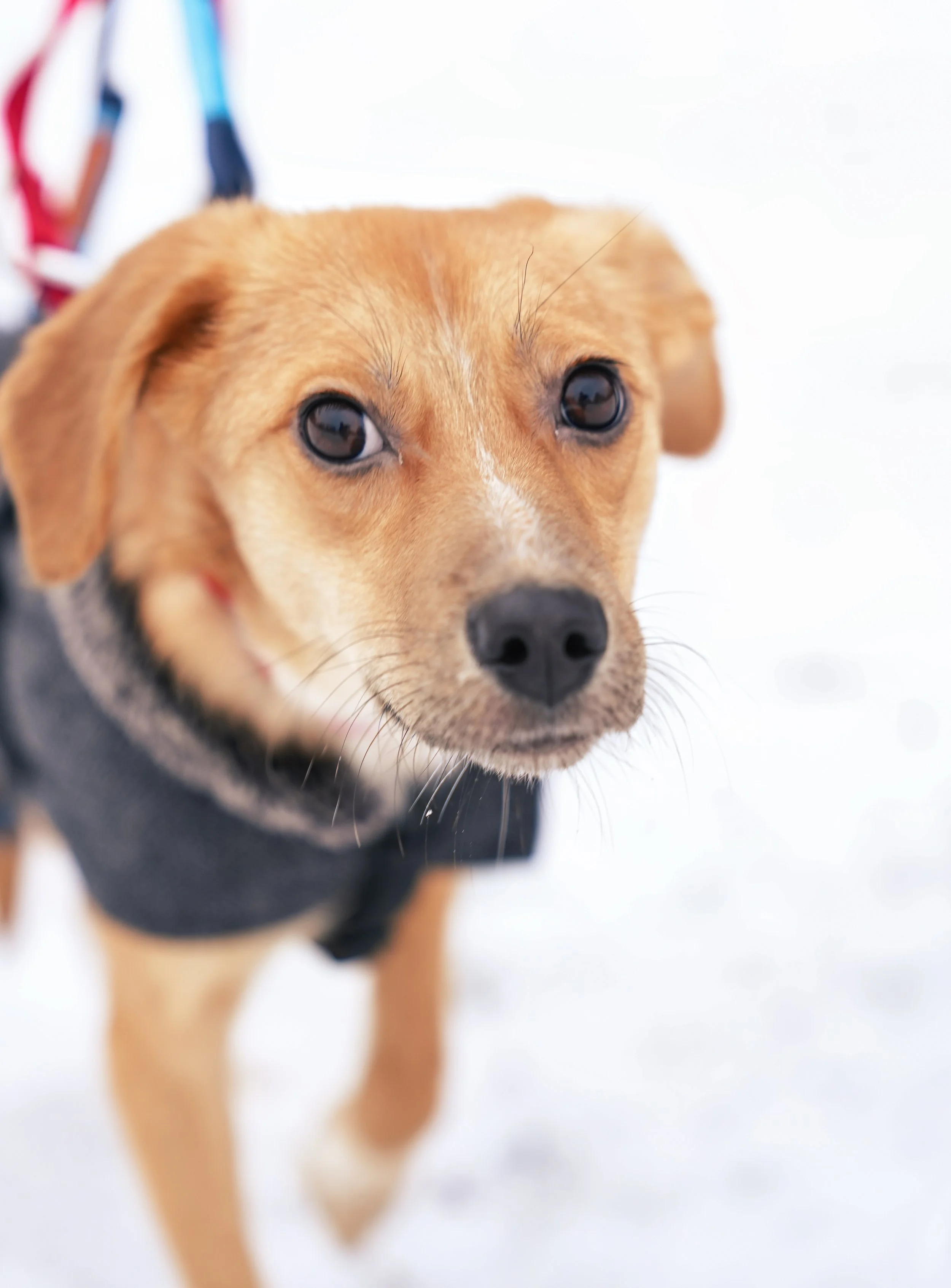 DSC00141 13.32.54.jpeg