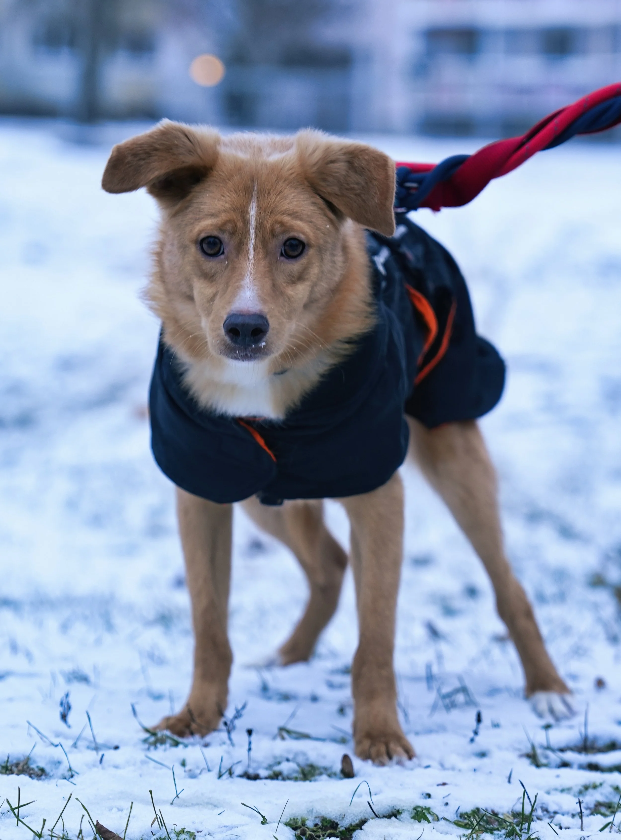 DSC00089 13.32.52 1.jpeg