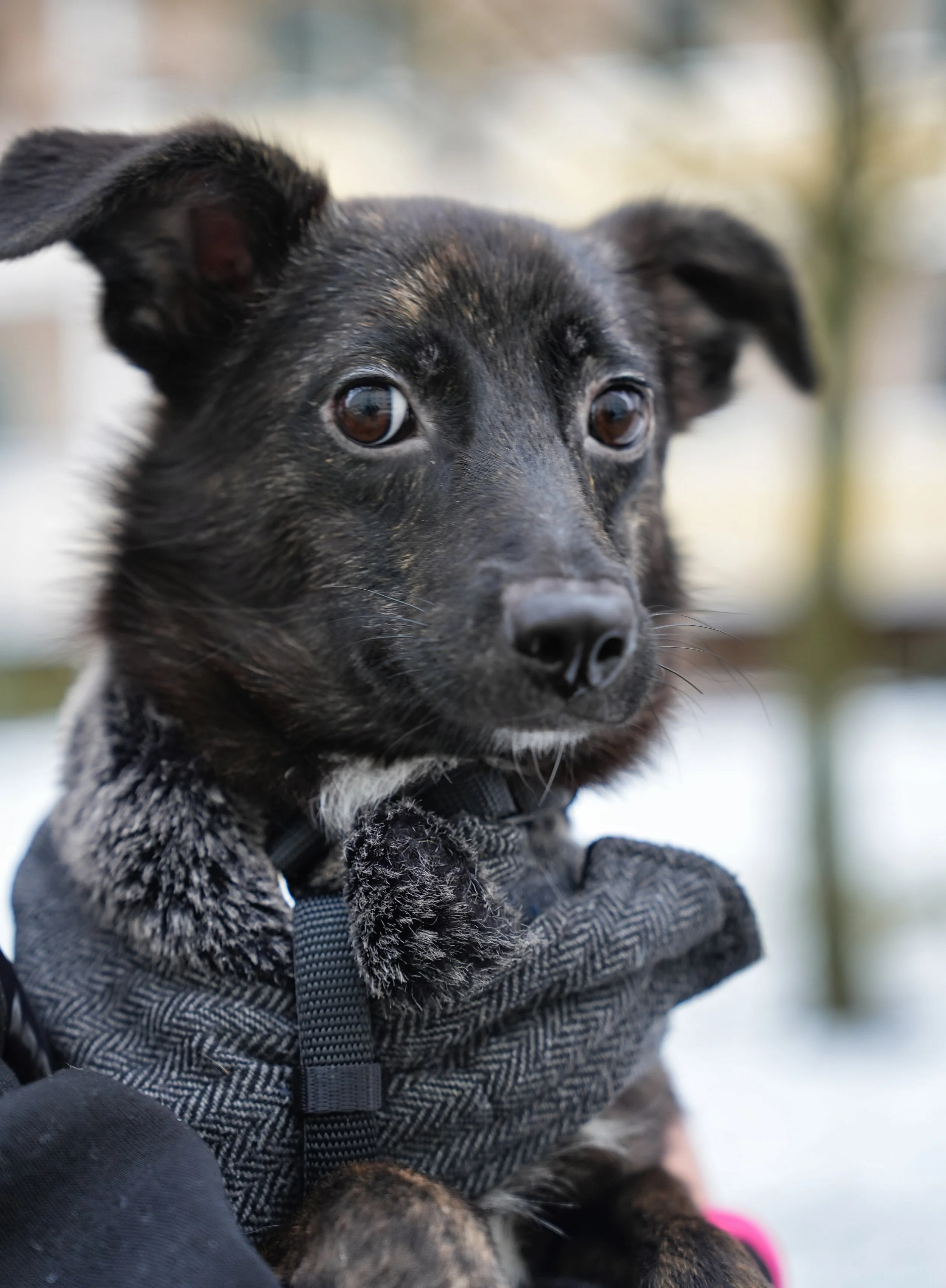 DSC00176 13.32.56.jpeg