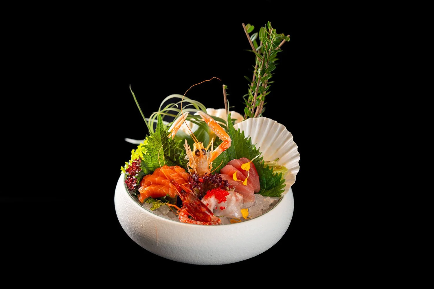 Sashimi mit Lachs, Thunfisch, Garnelen, grünem Blattgrün, Kräutern, Seegras, Meeresfrüchte, essbaren Blumen und Islandmuschelschale in einer weißen Schüssel auf schwarzem Hintergrund