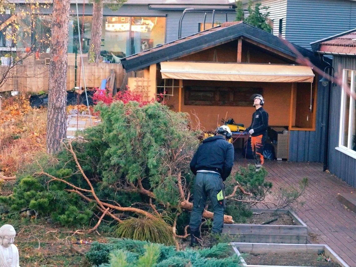 Rydding av tomt før du bygger hus